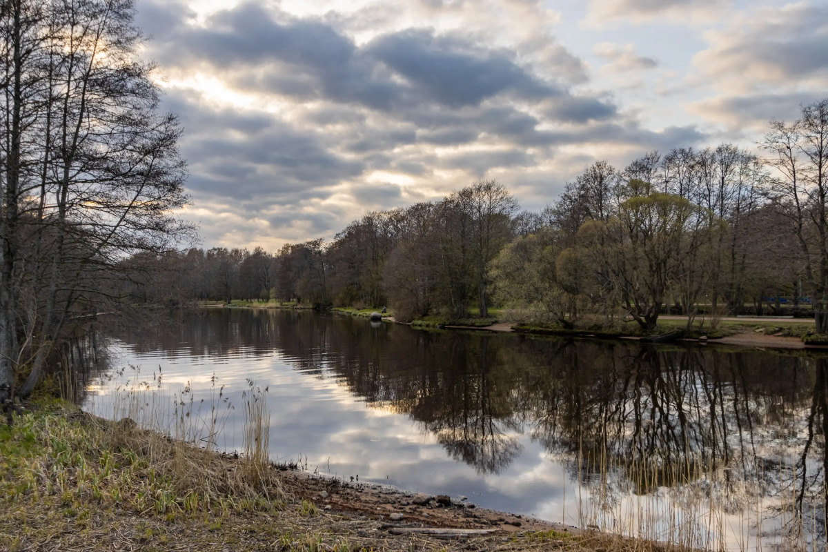 Апартаменты Чистый Воздух