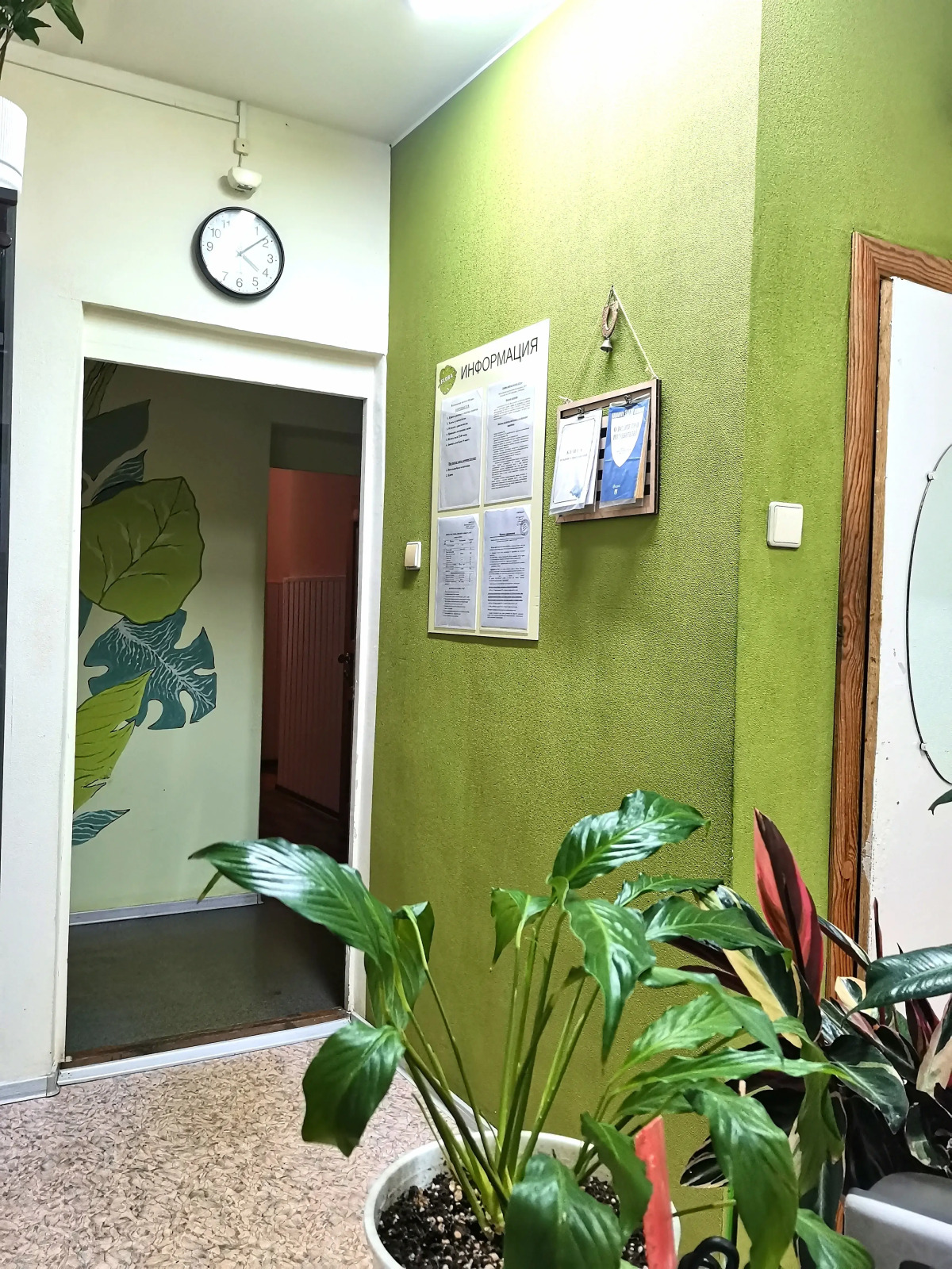 Хостел Флора