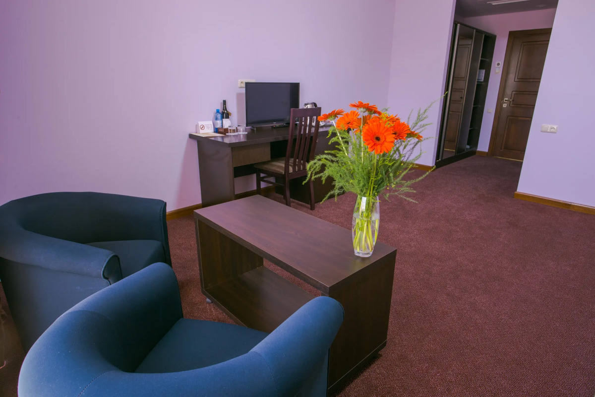 Отель Ani Central Inn