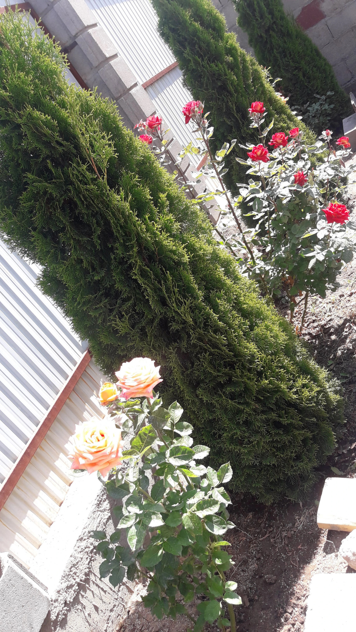 Гостевой Дом Эдем Иссык-Куль