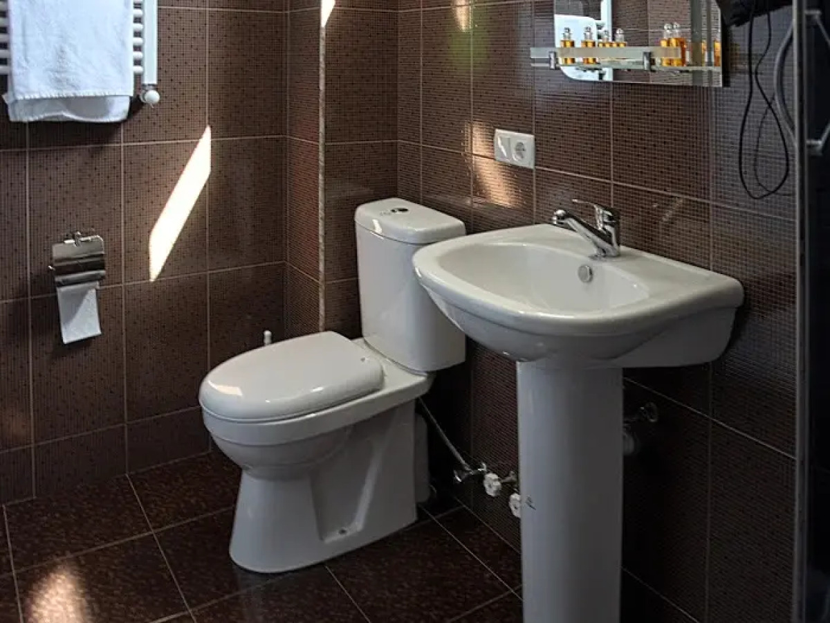 Отель Tbilisi Garden