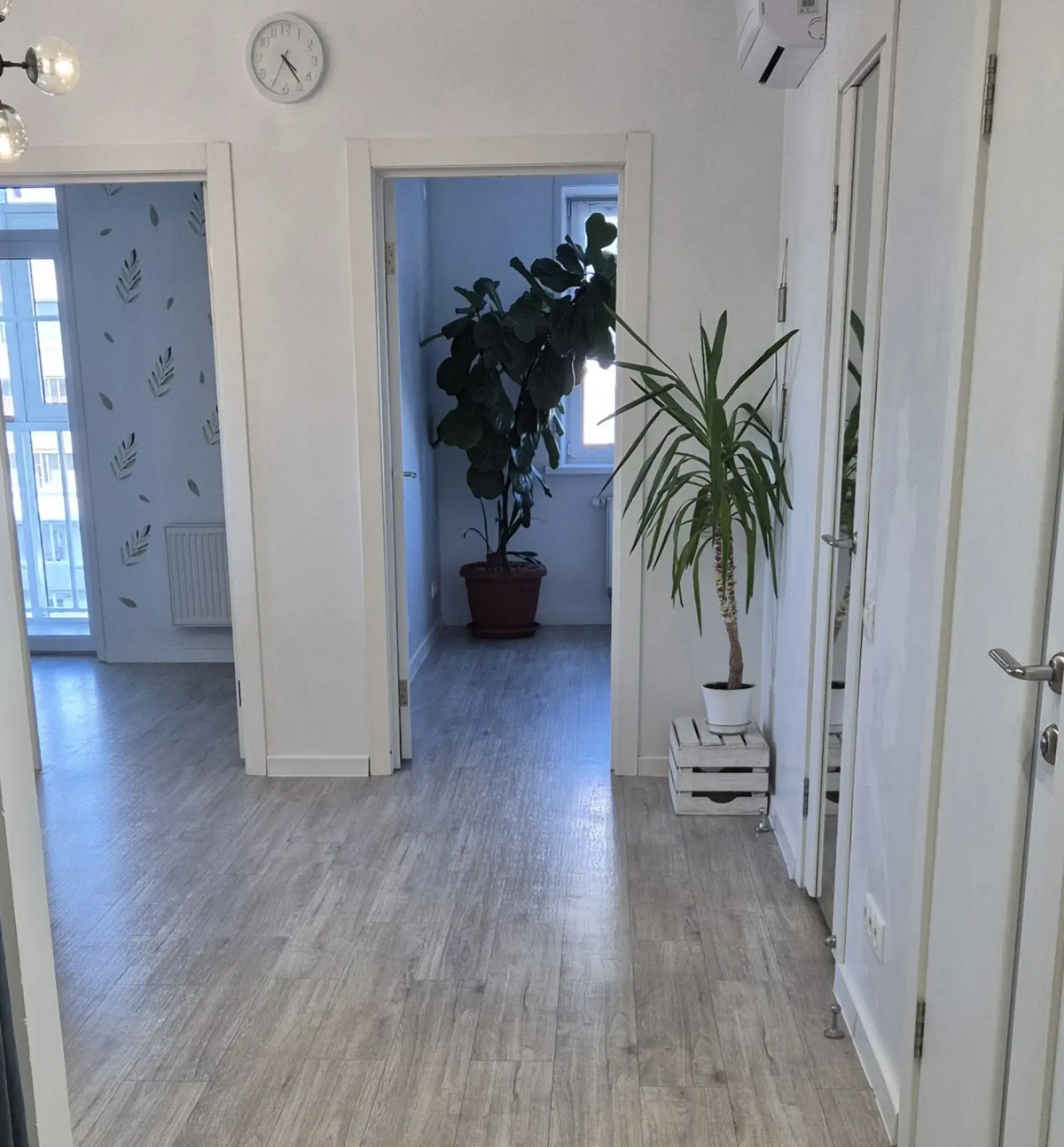 Апартаменты Кофр Уютные 2 Комнатные