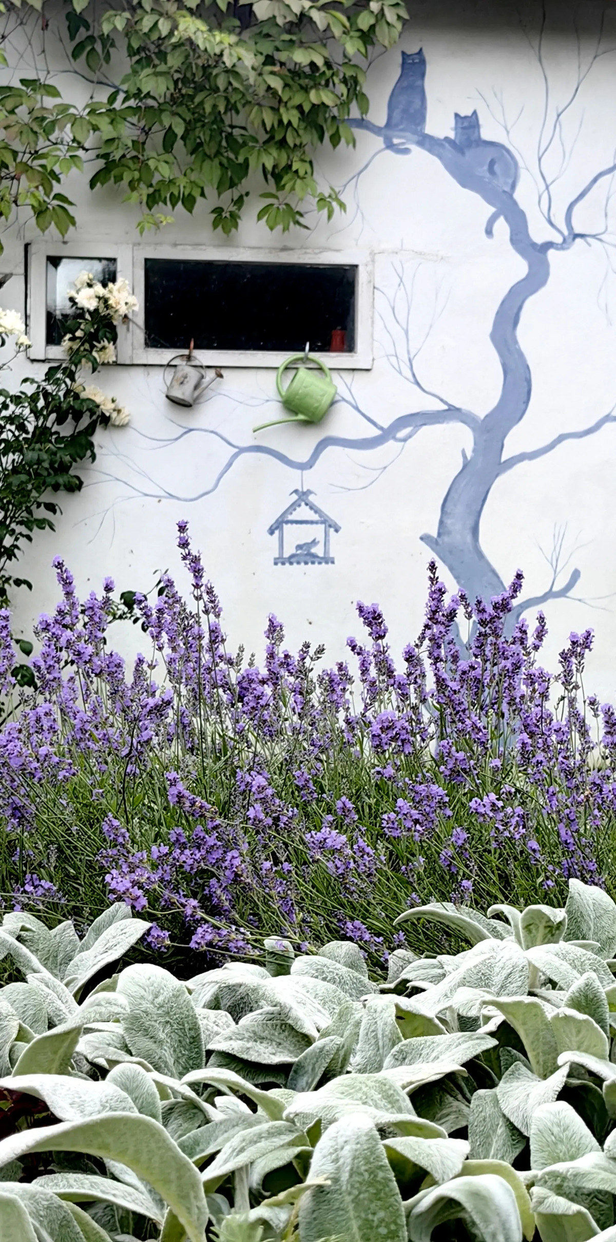 Гостевой дом Лавандовый сад