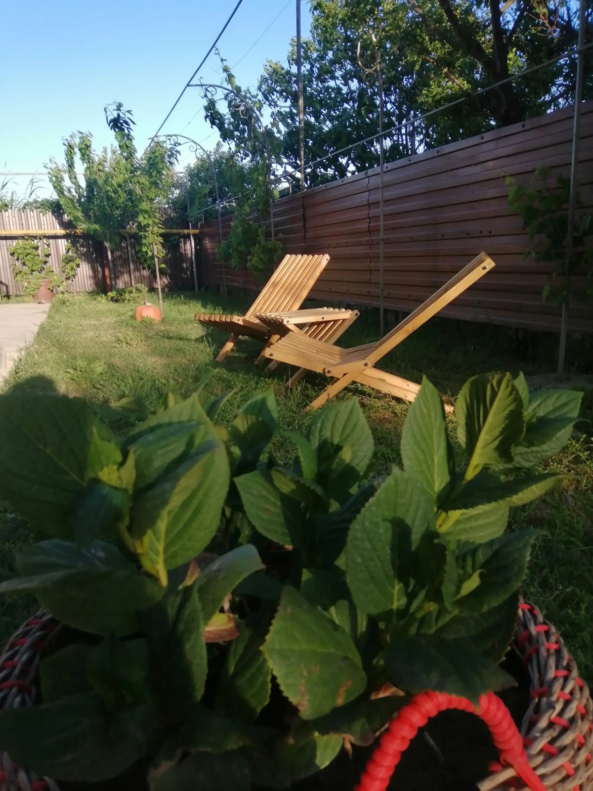 Гостевой дом Белая Дача