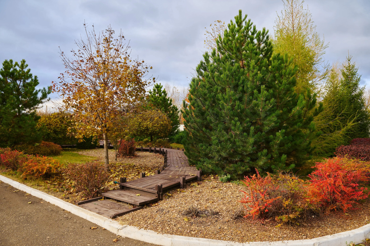 Гостевой дом КДВ