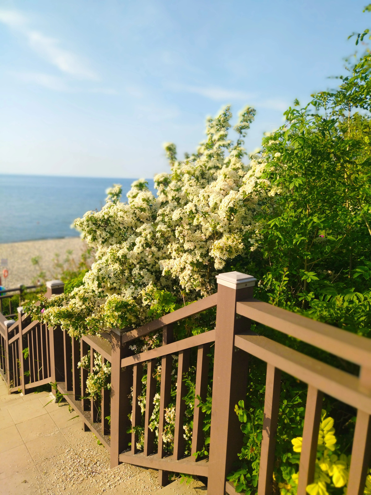 Апартаменты в Резиденции у моря