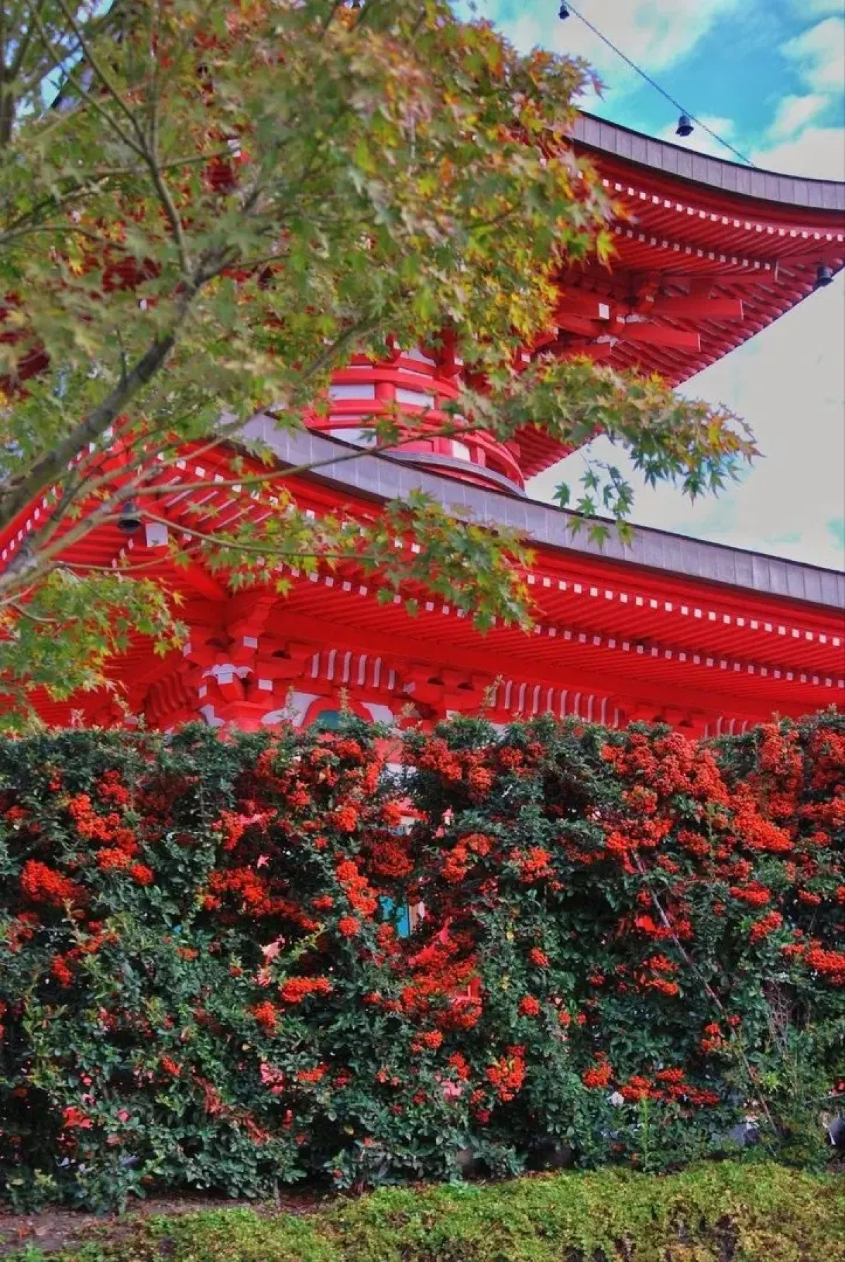 Апартаменты Сутки В Крд у Парка Галицкого