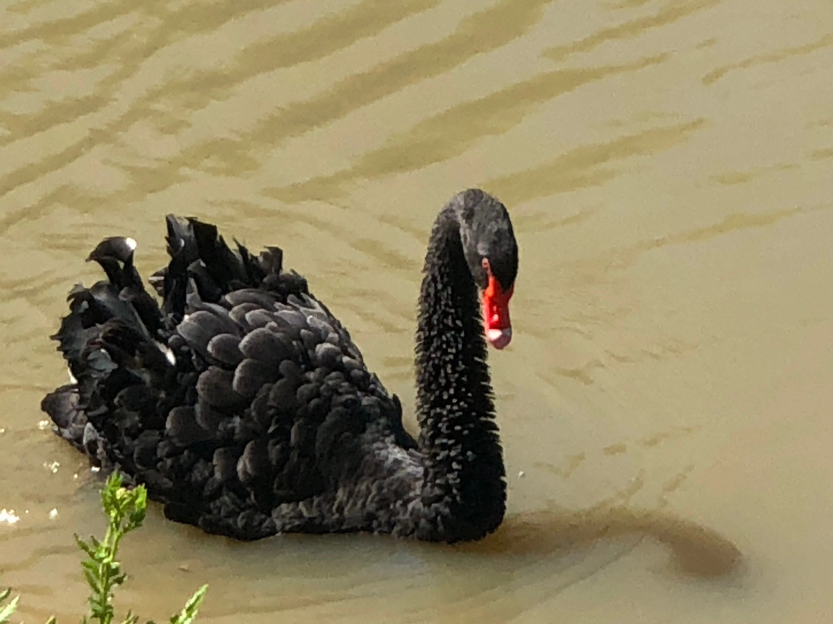 Бутик-отель Эко-Поместье Озера