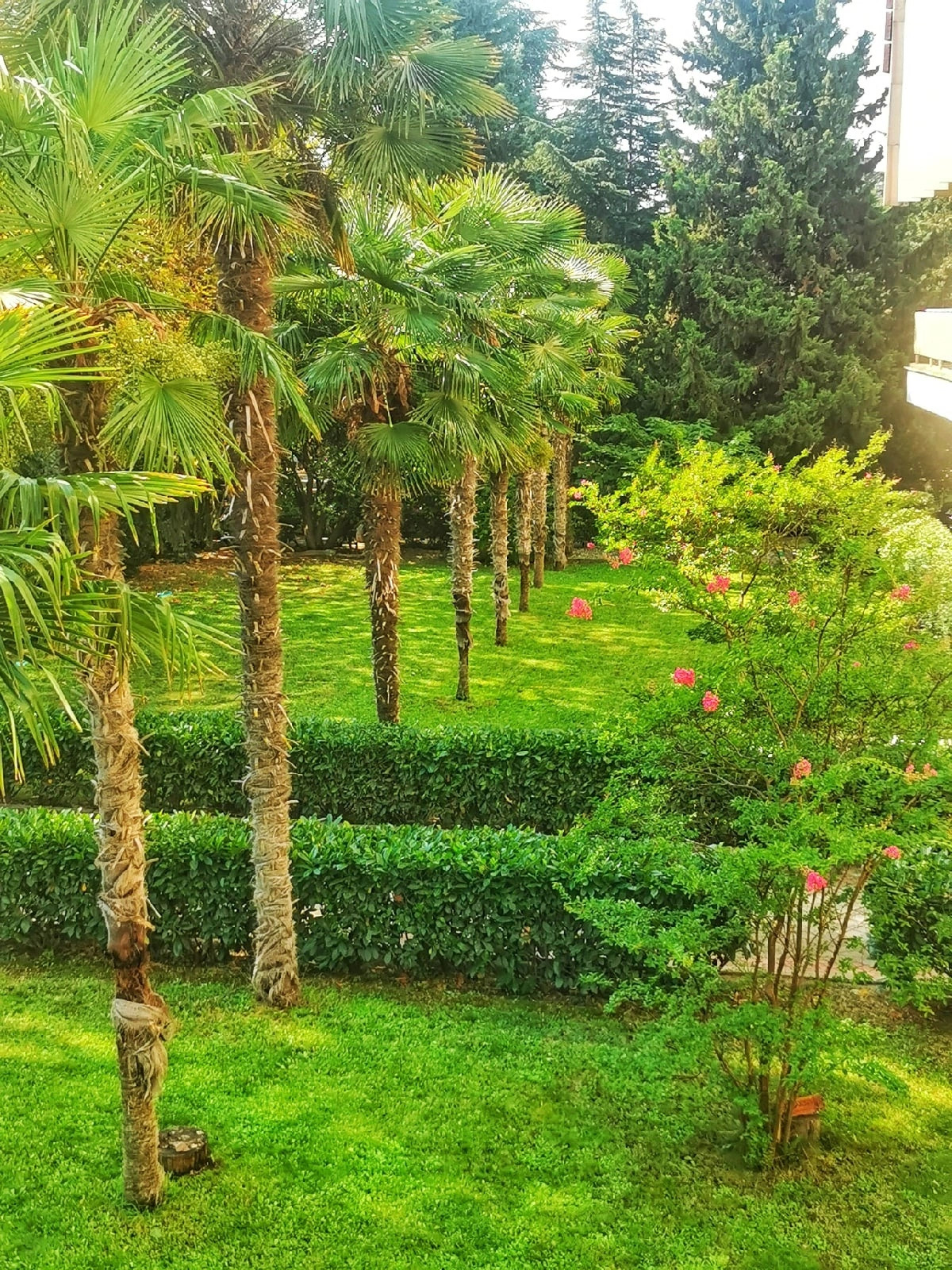 Отель Чайка ТОК