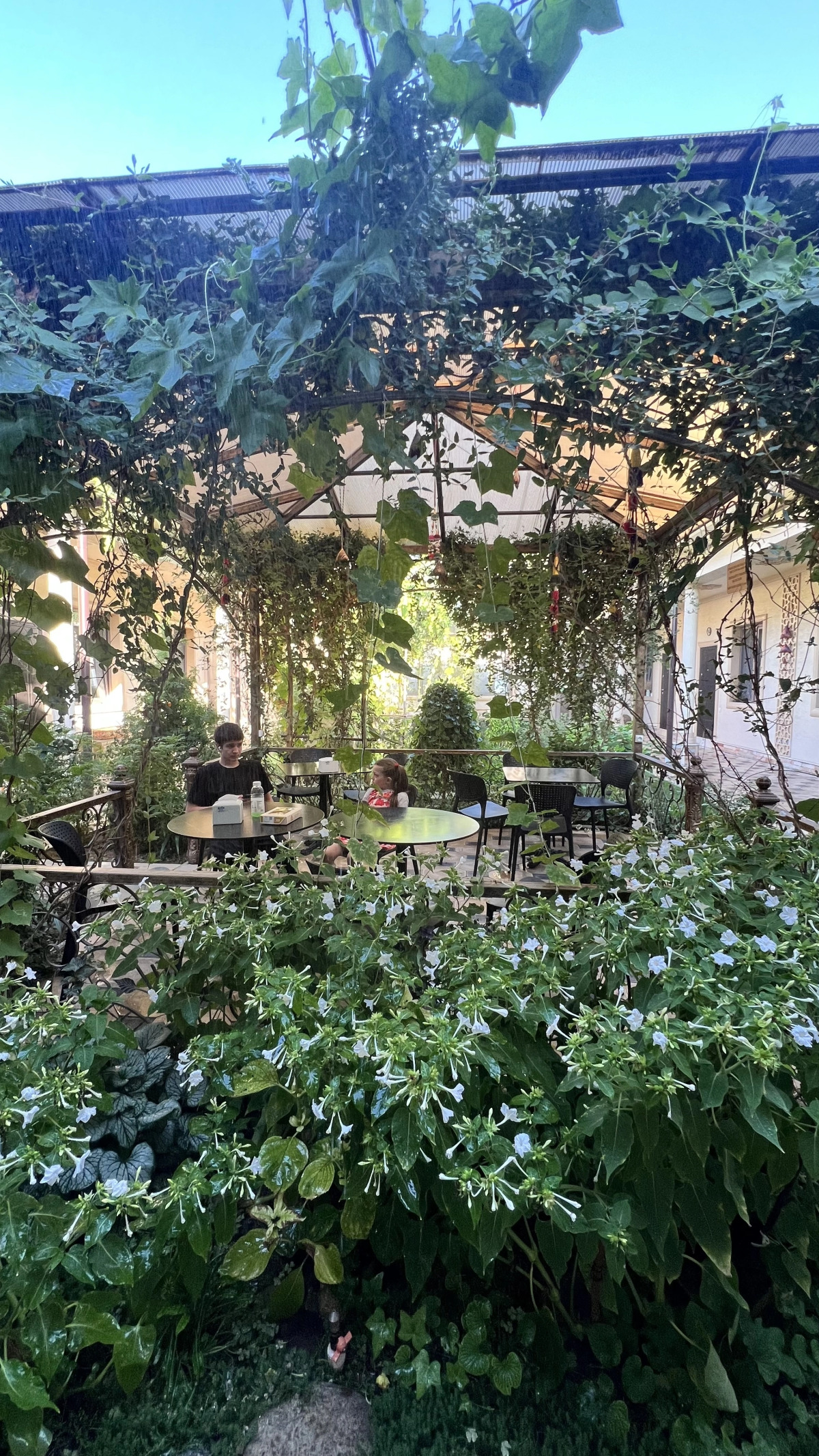 Отель Zahid Inn