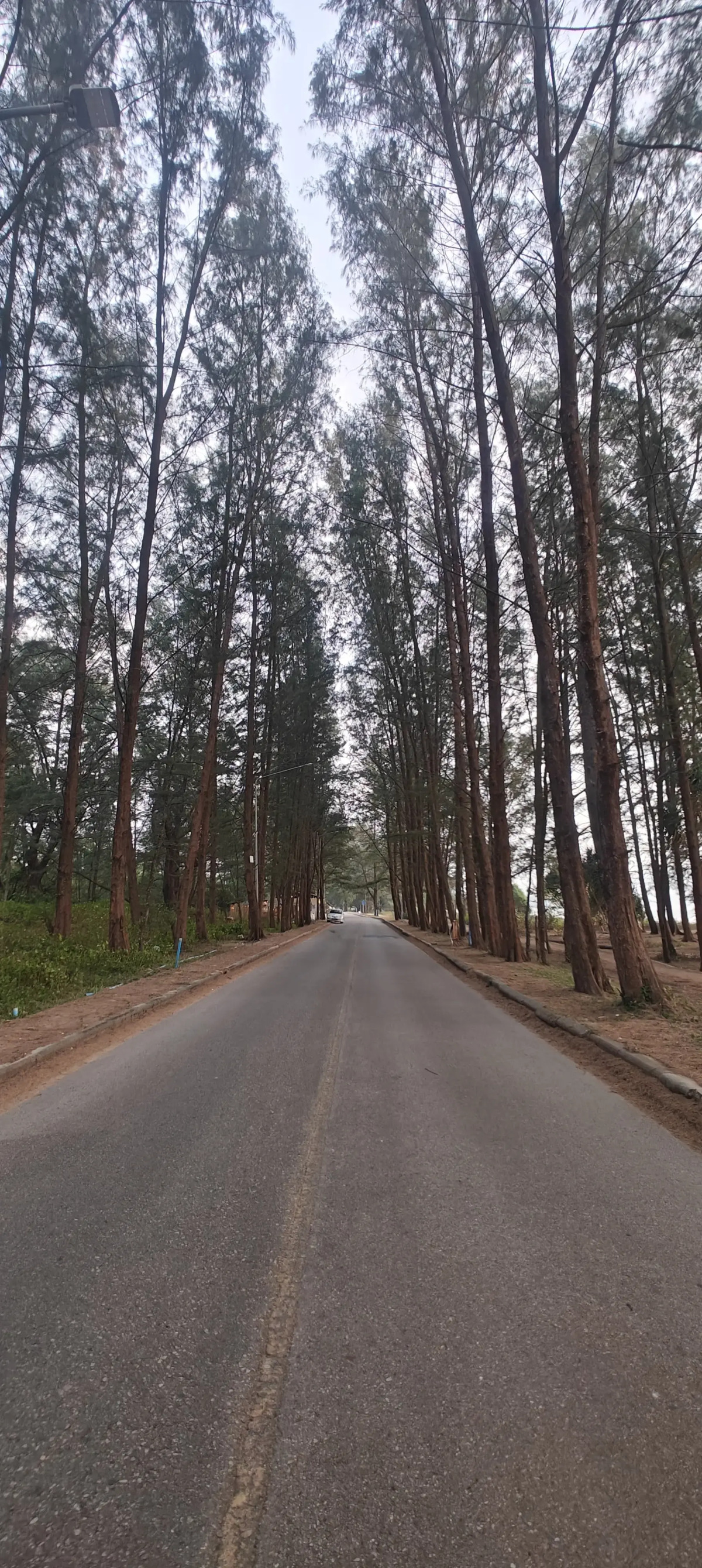 Апартаменты AuroraThai