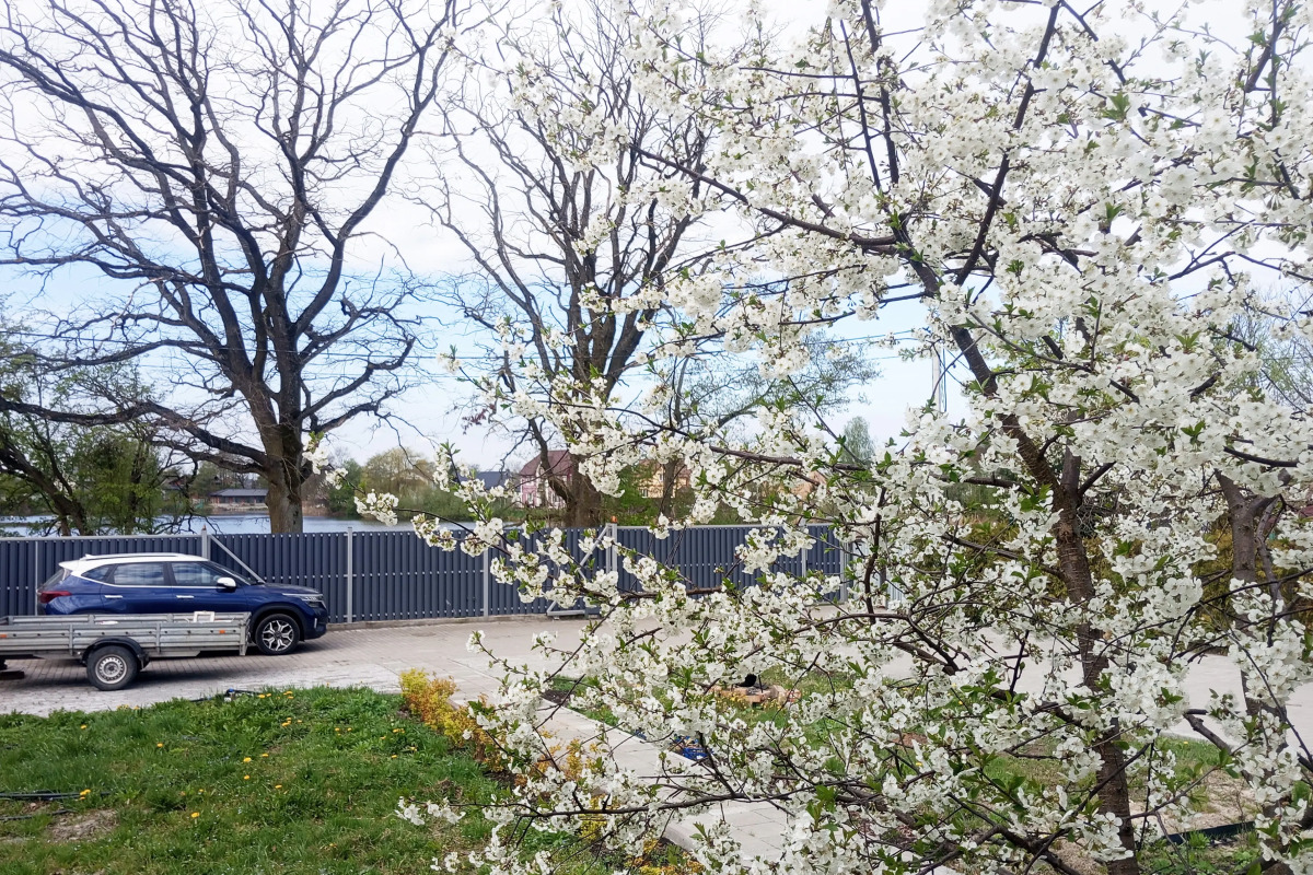 Апартаменты у озера