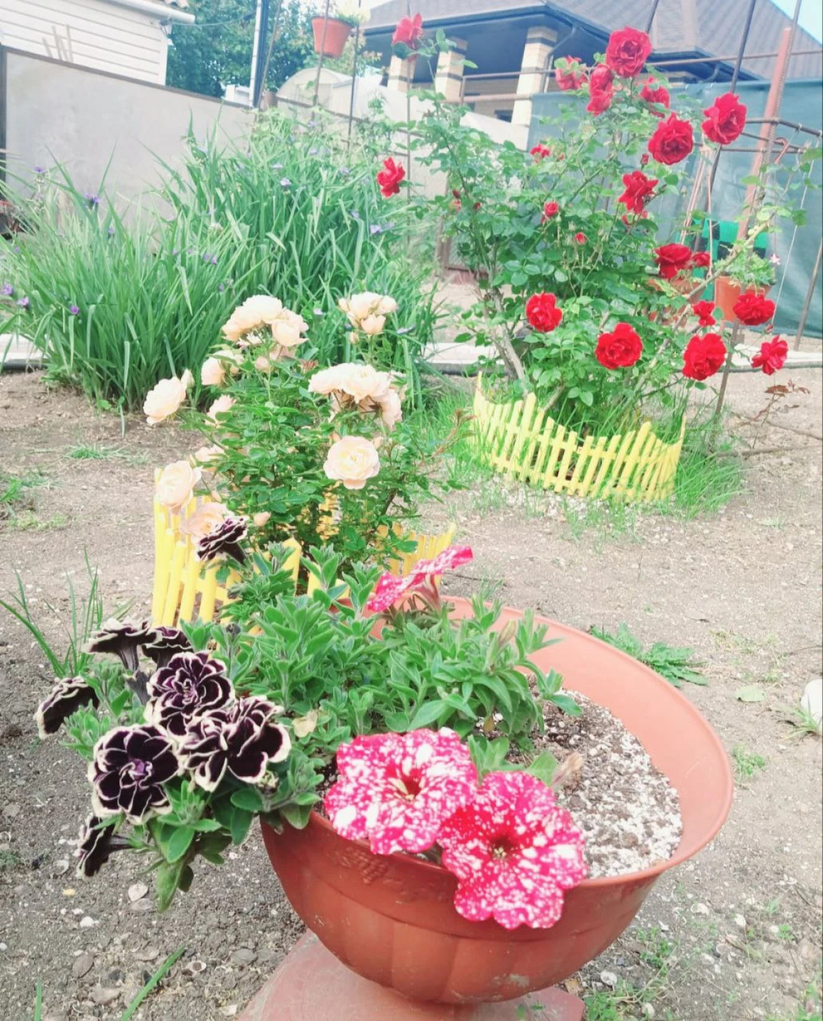 Гостевой Дом Коттедж у Моря