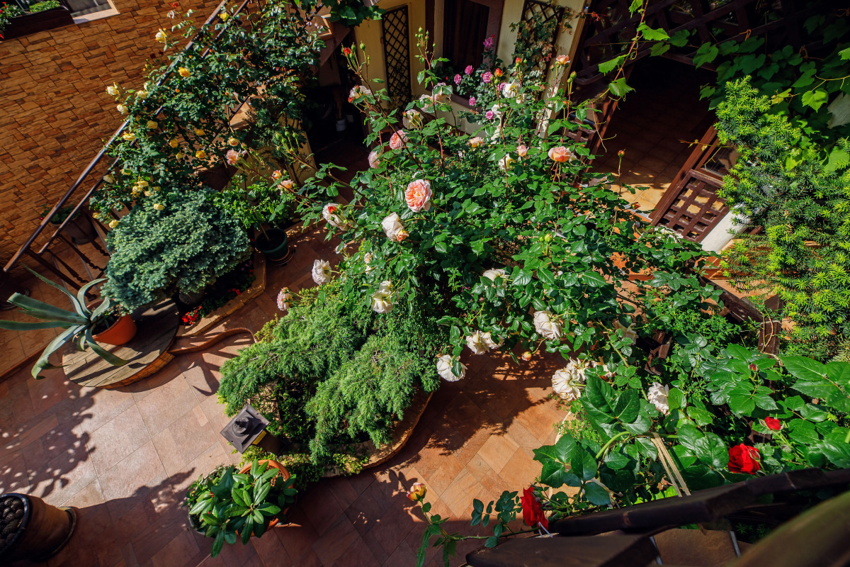 Гостевой дом Лорис