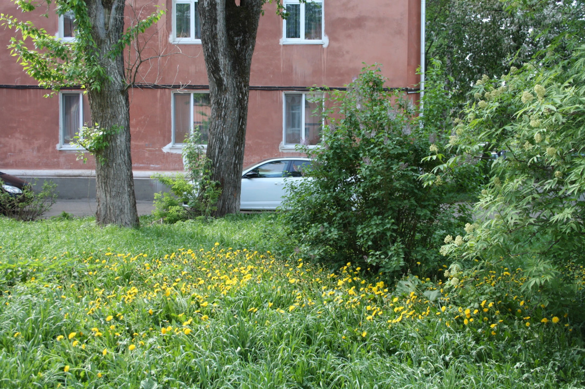 Апартаменты Пряженникова 61