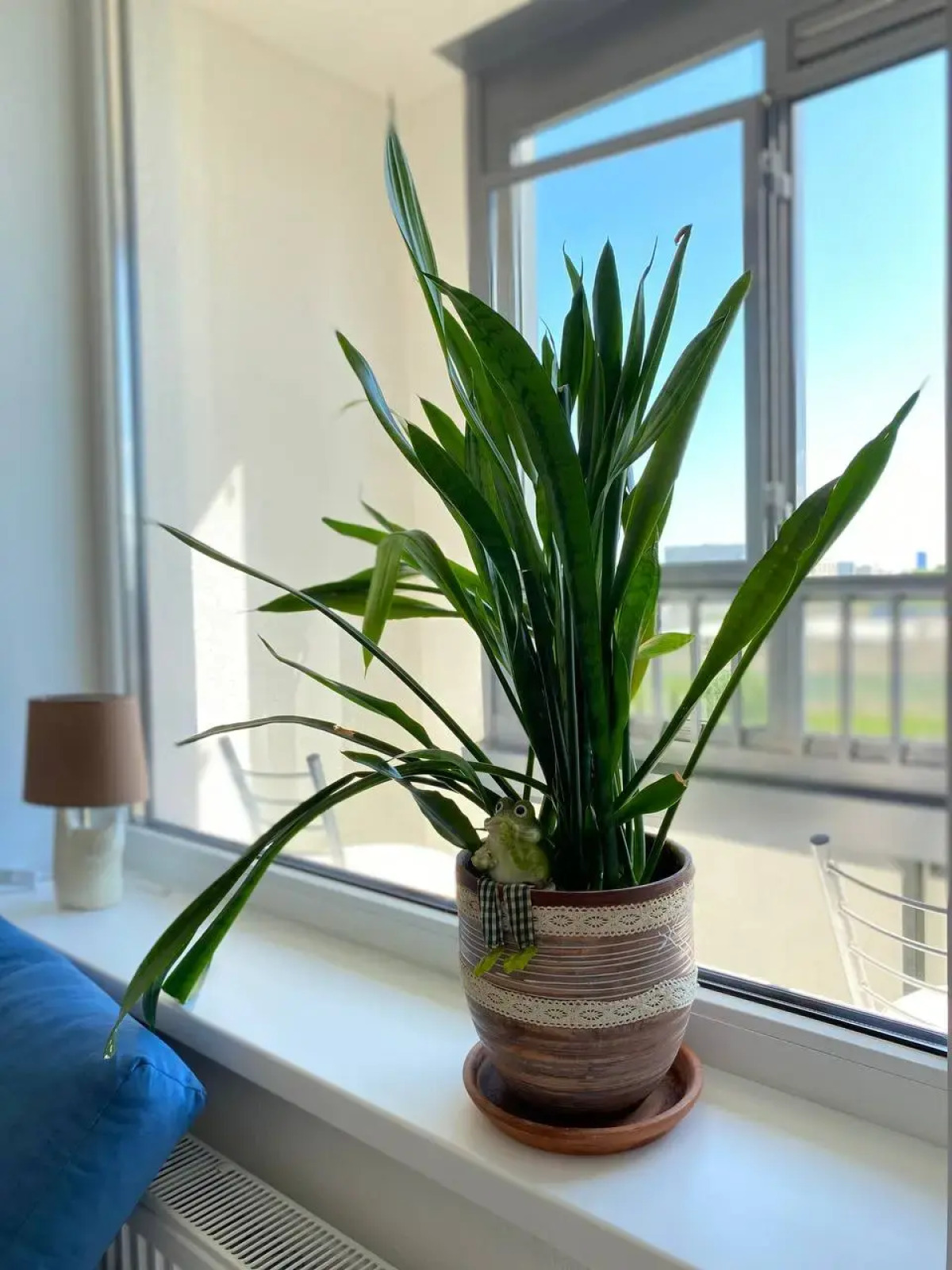 Апартаменты Место силы в Солнечном Городе