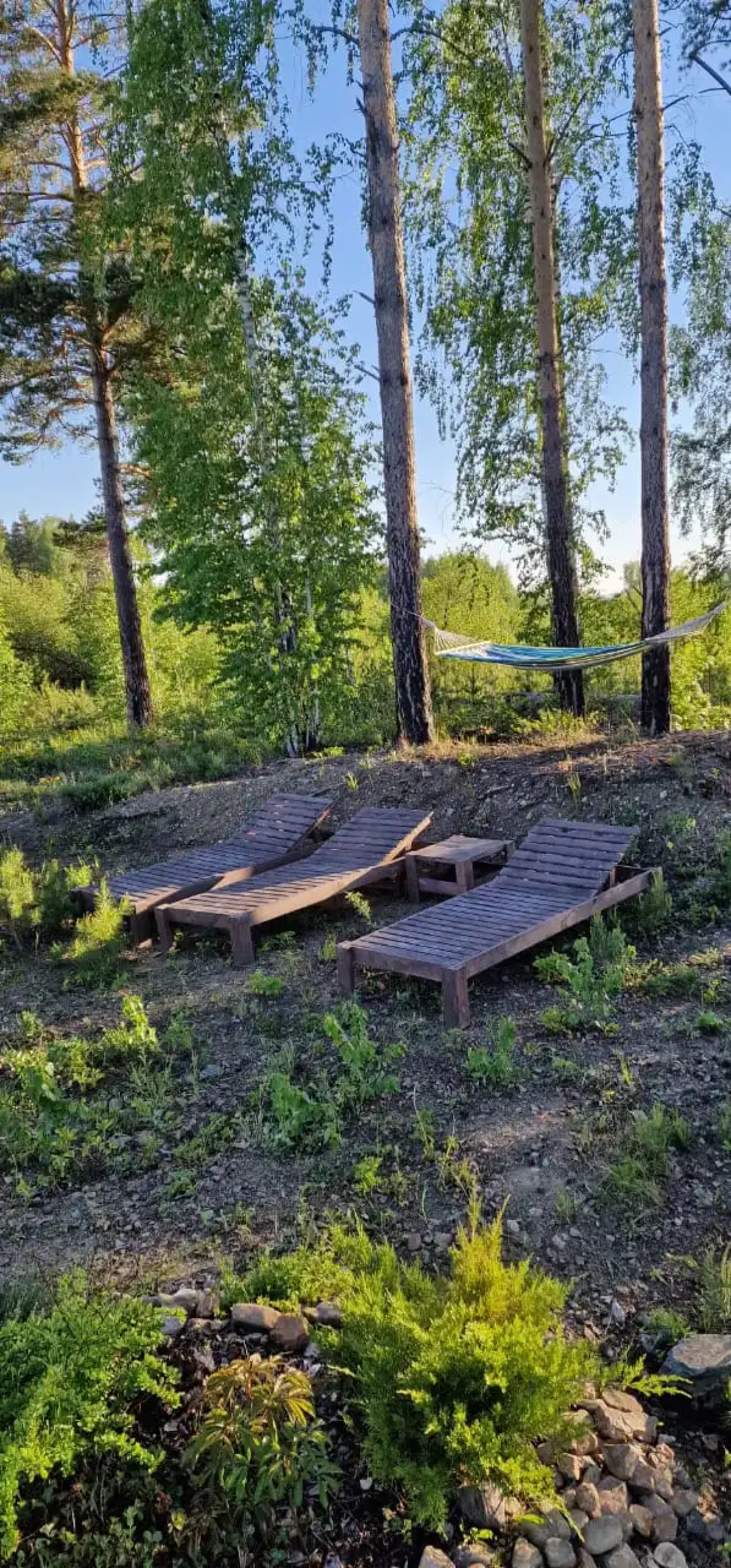 Гостевой дом Forest Lake