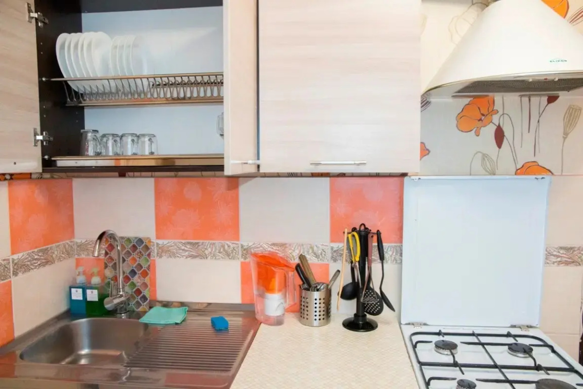 Двухкомнатные апартаменты у ДК Металлургов. Барбарис