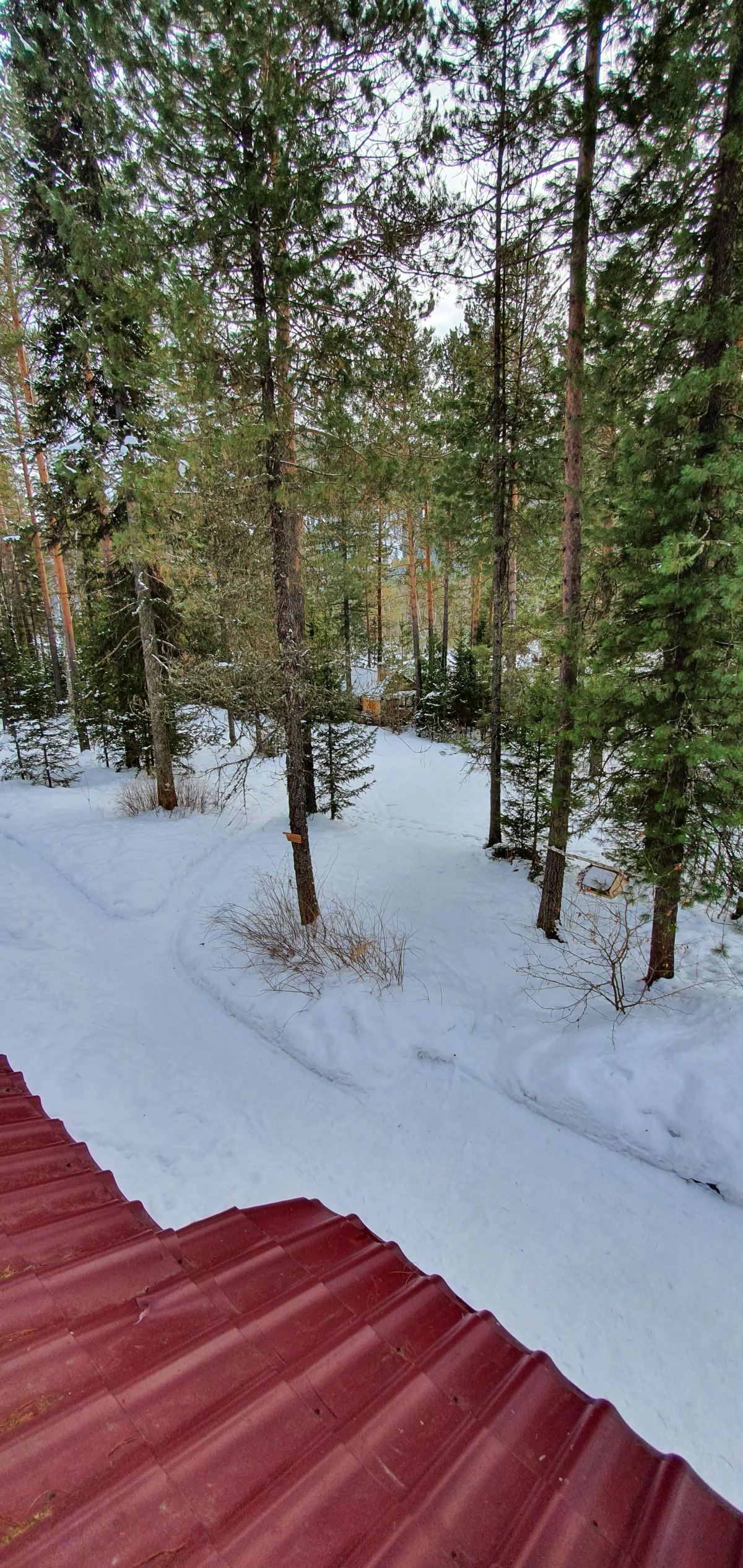 Парк-отель Бия Заповедная