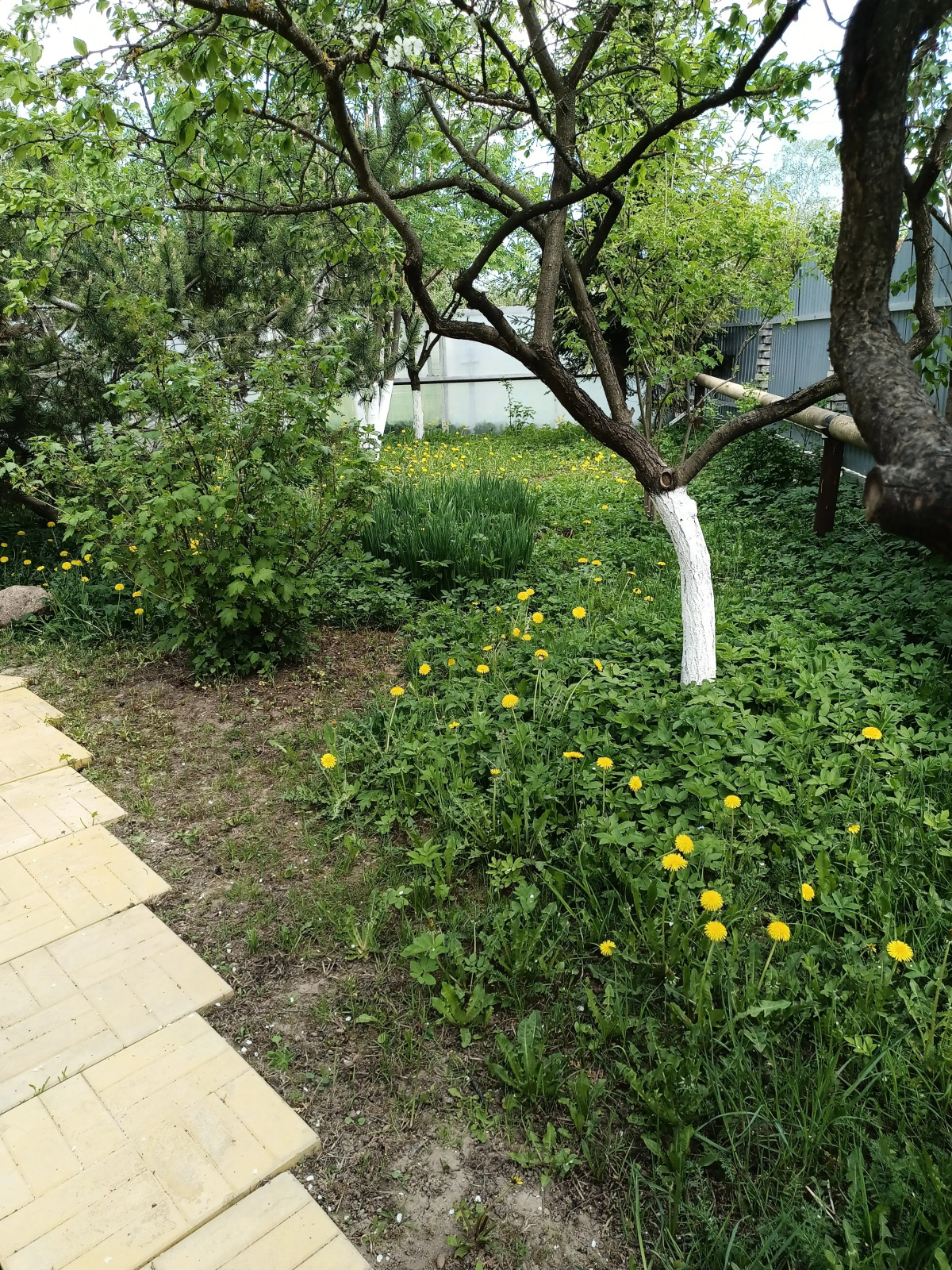 Гостевой дом Мариенбург Гатчина