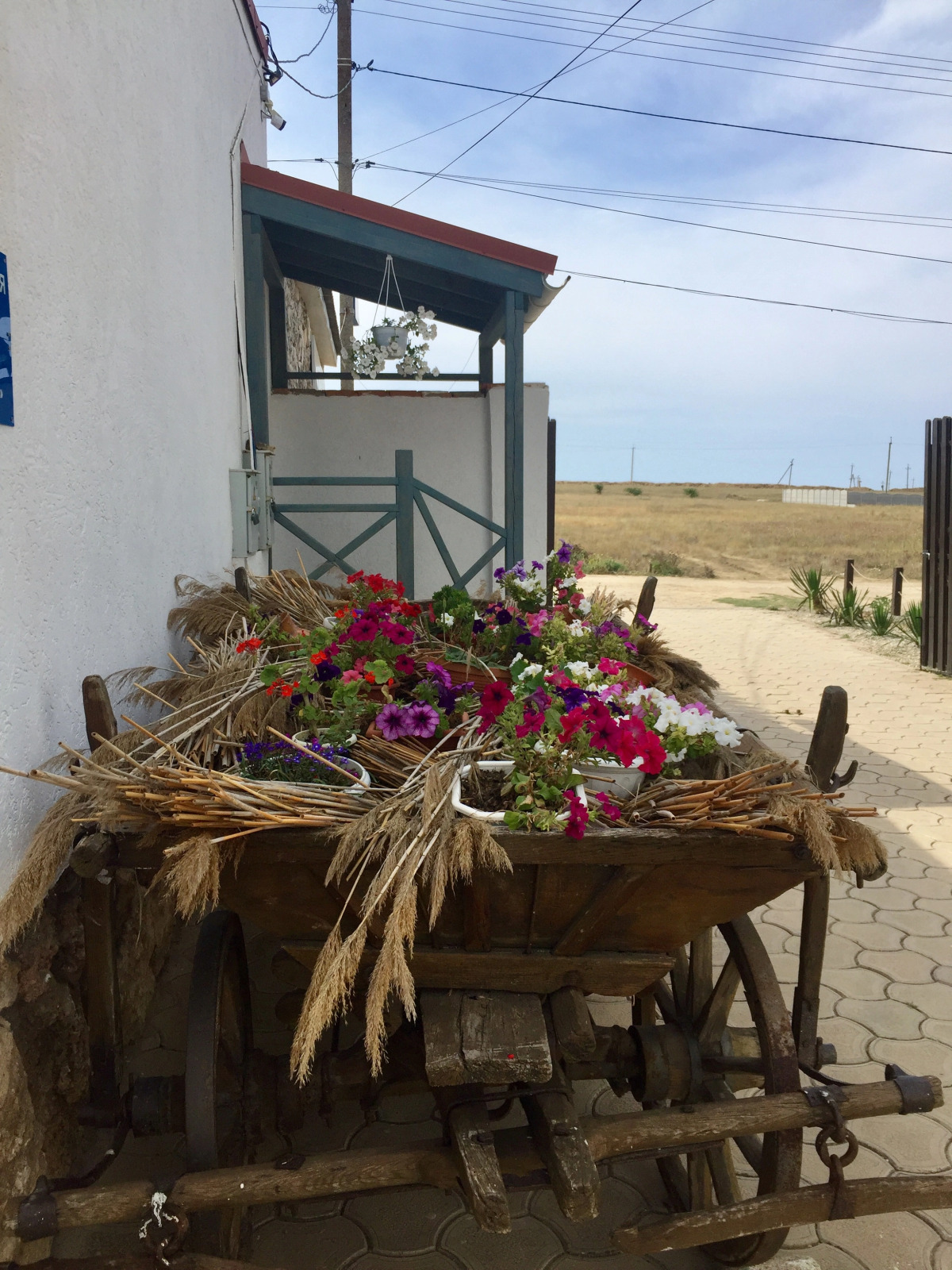 Zhemchuzhina Stepi Guest House