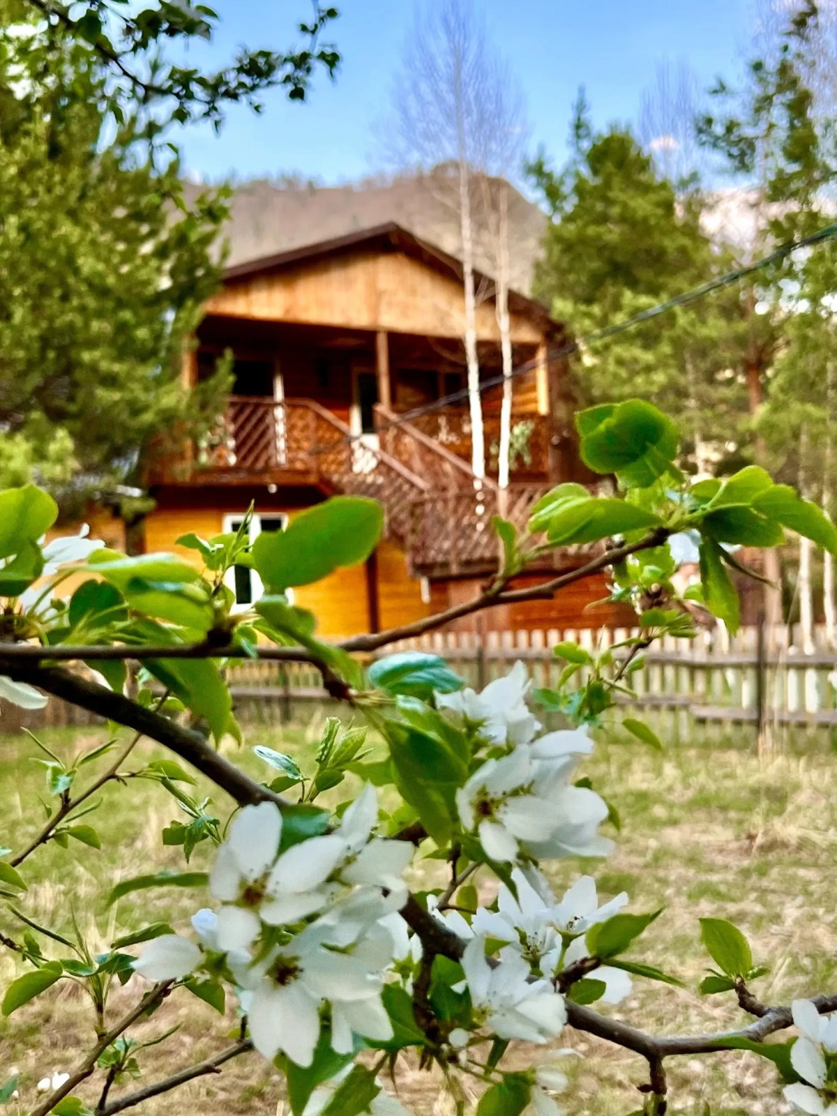 Гостевой дом Сельская усадьба