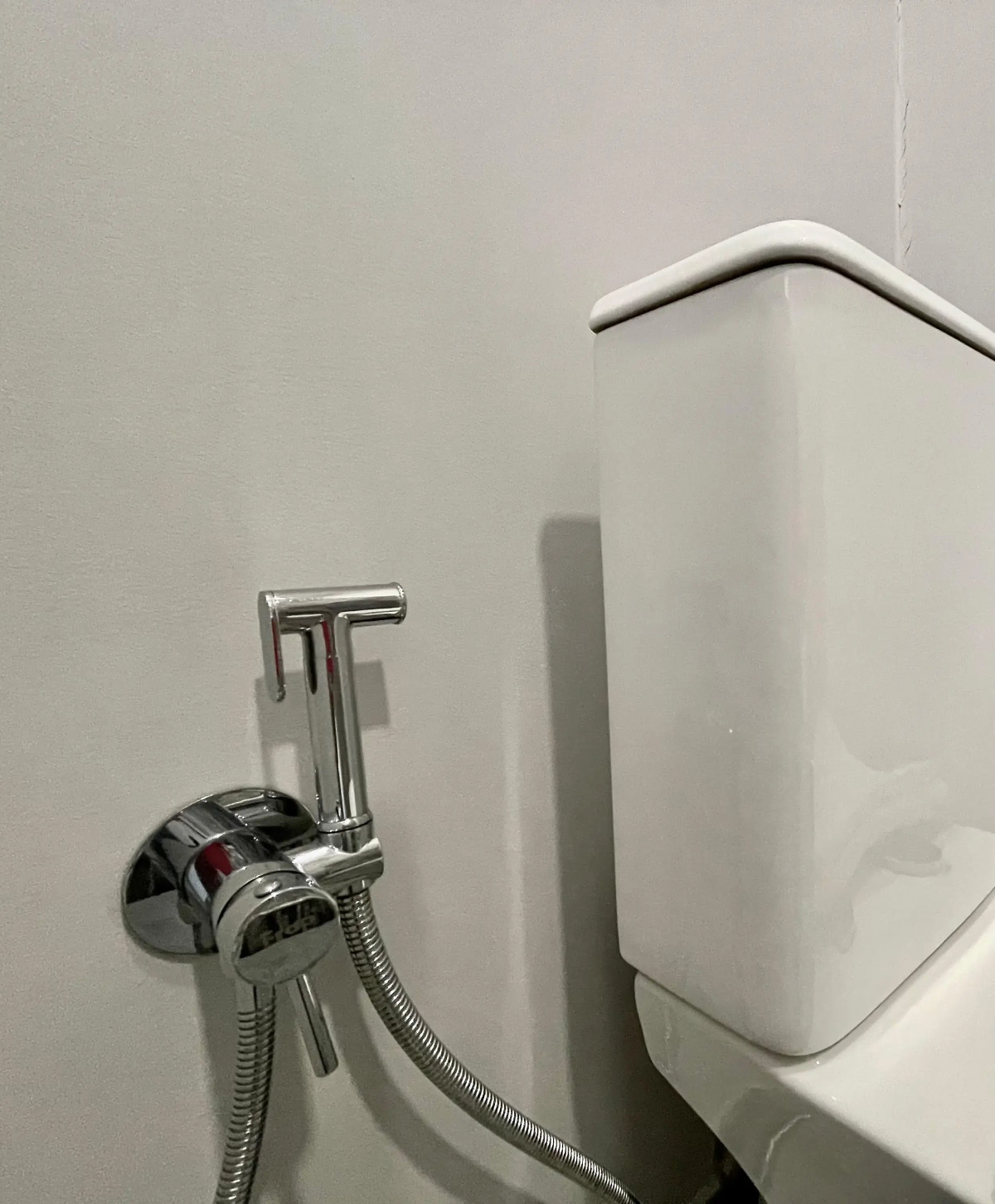 Апартаменты Лебедь