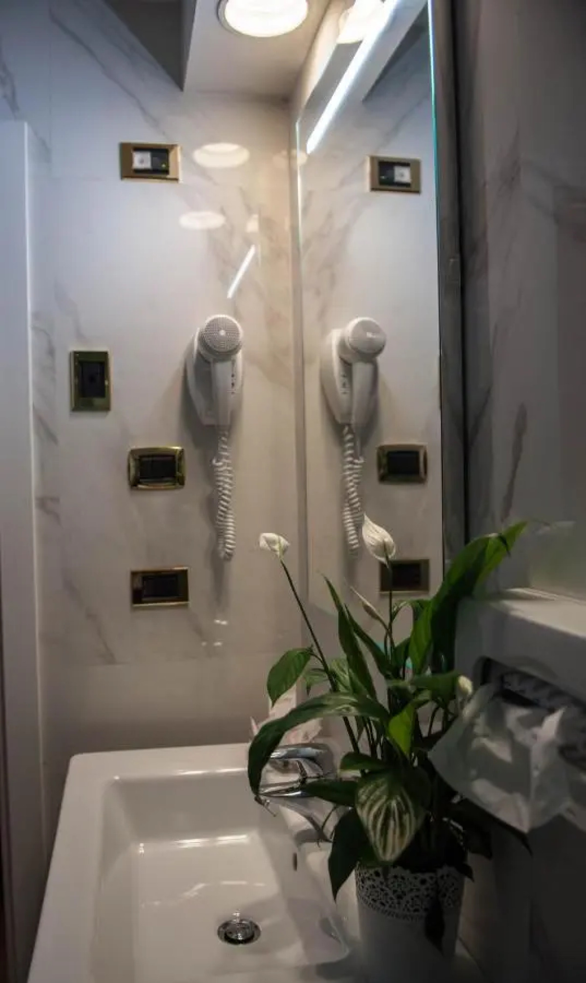 Отель Palladium Palace