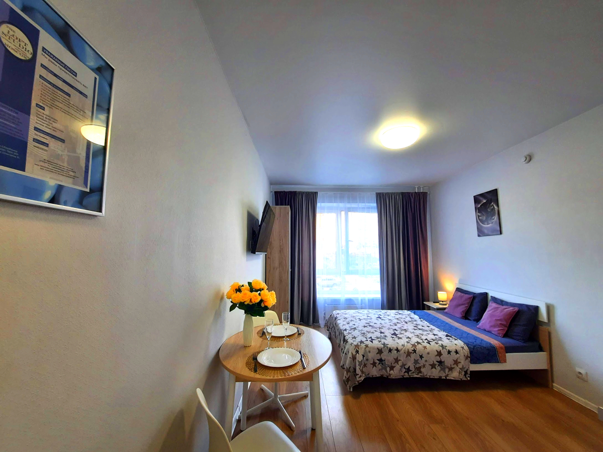 Апартаменты Вторая Студия на Ларюшина 4/2