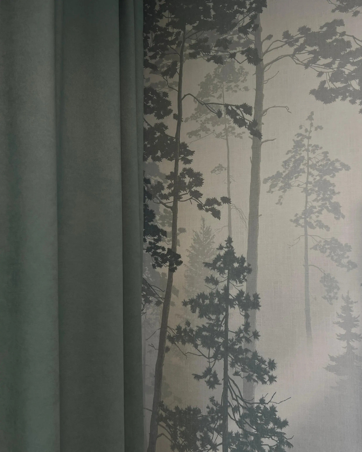 Квартира Ёлки зелёные в тихом центре Петрозаводска