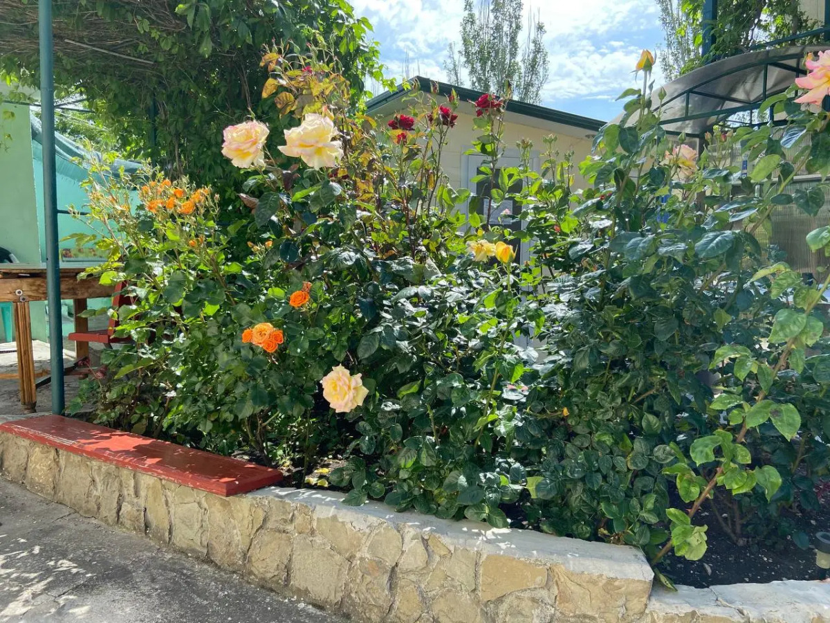 Гостевой Дом Agave