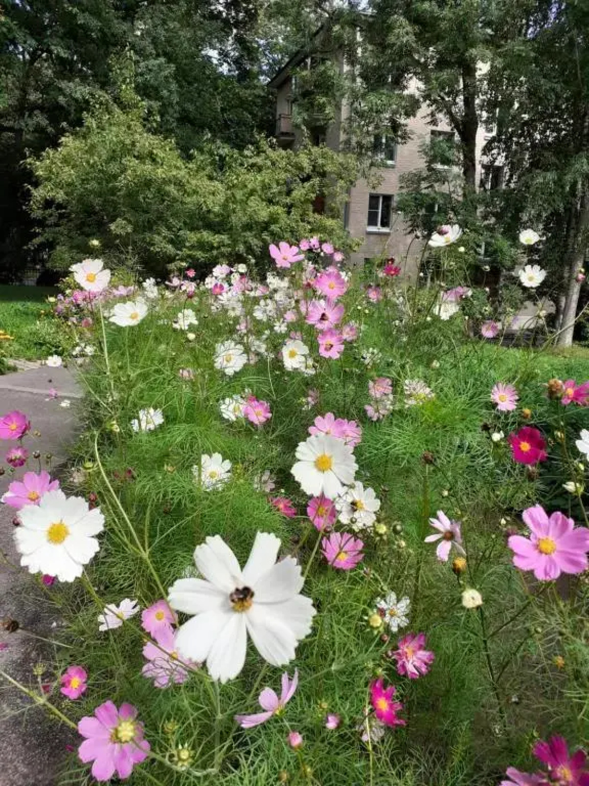 Квартира Soul Home