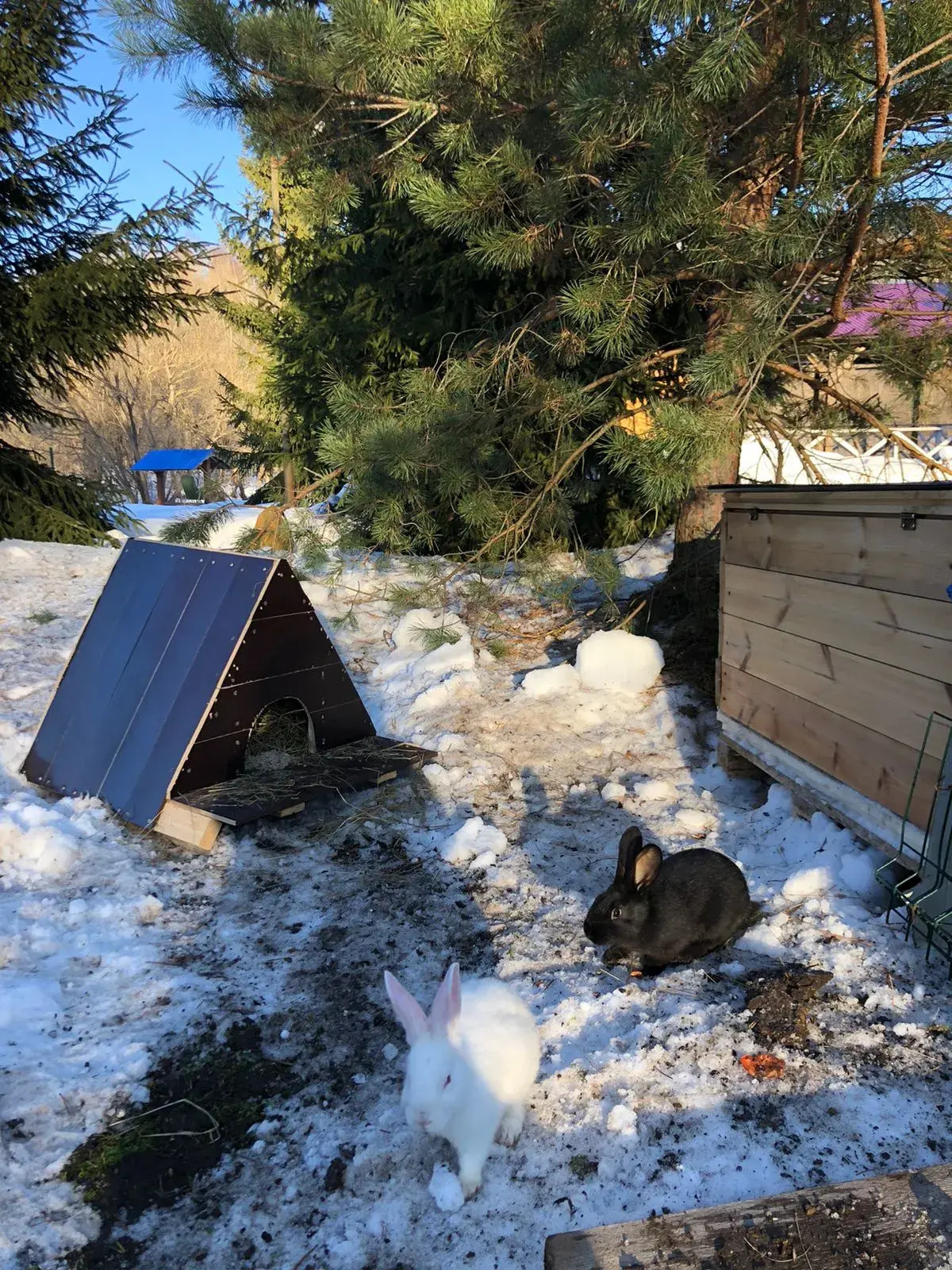 Эко-отель Белая Мельница