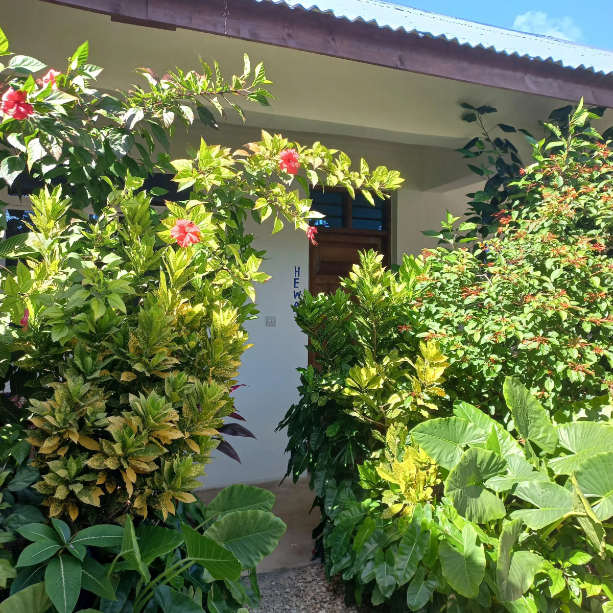 Гостевой дом MaNa Nungwi