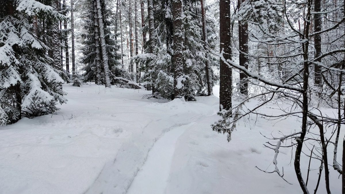 Частный дом Новый 6 местный дом у озера с банным чаном и баней.