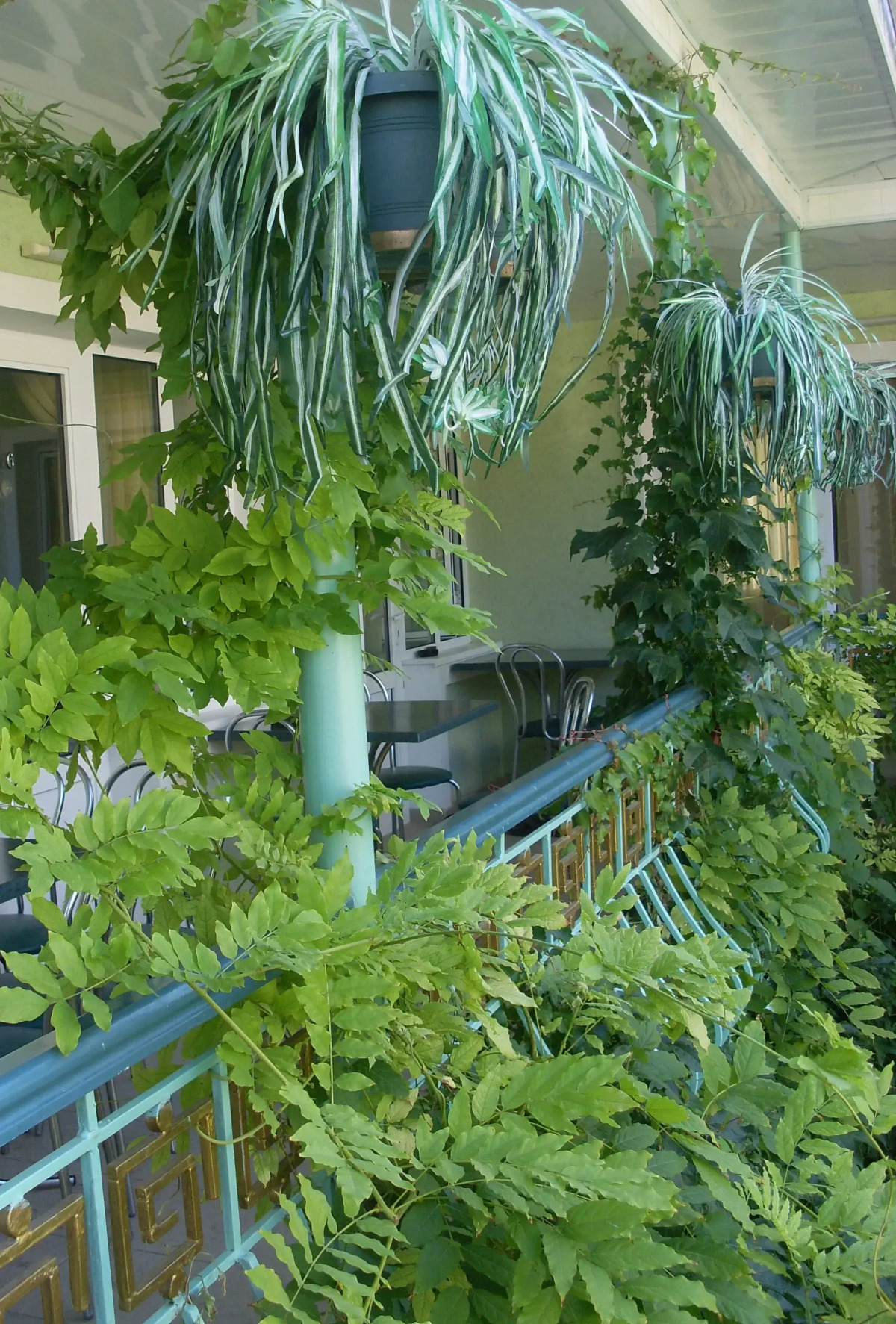 Гостевой дом Изумрудный