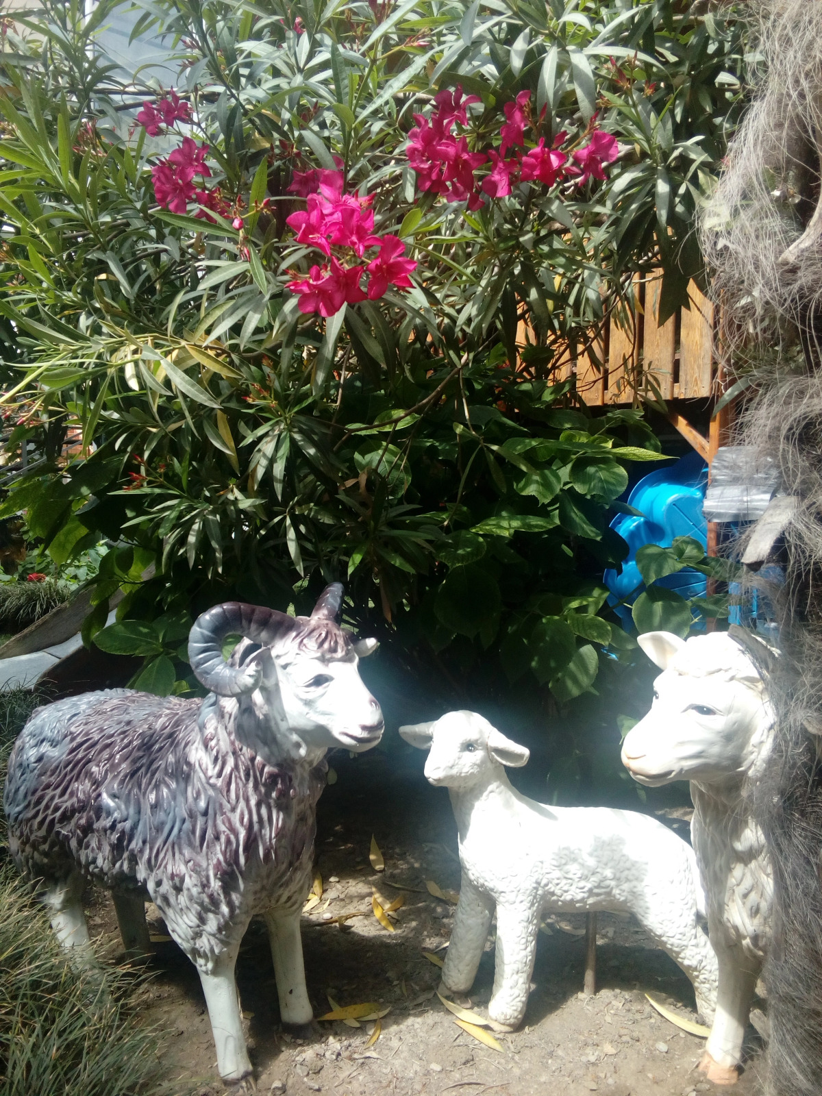 Гостевой Дом Иван да Марья