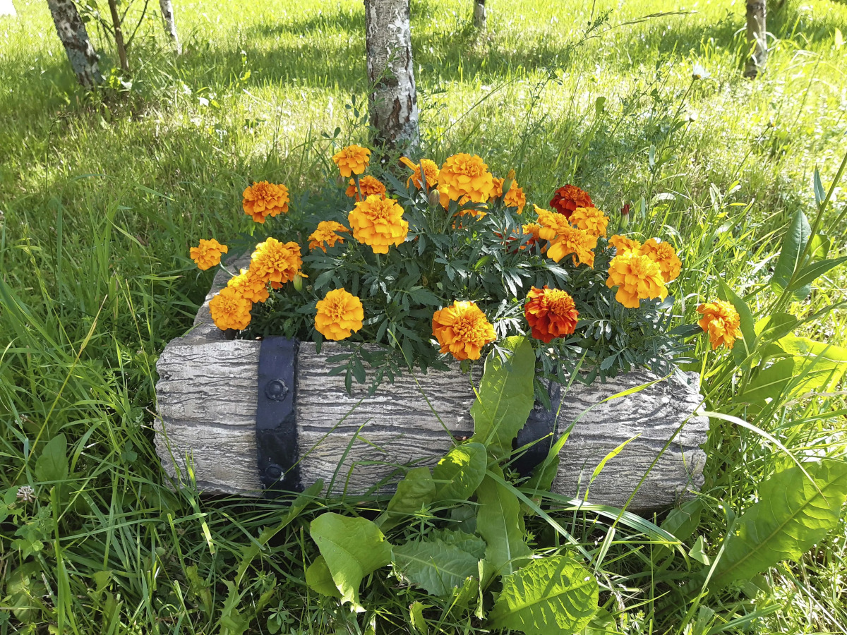 Гостевой дом в деревне Чернокуново