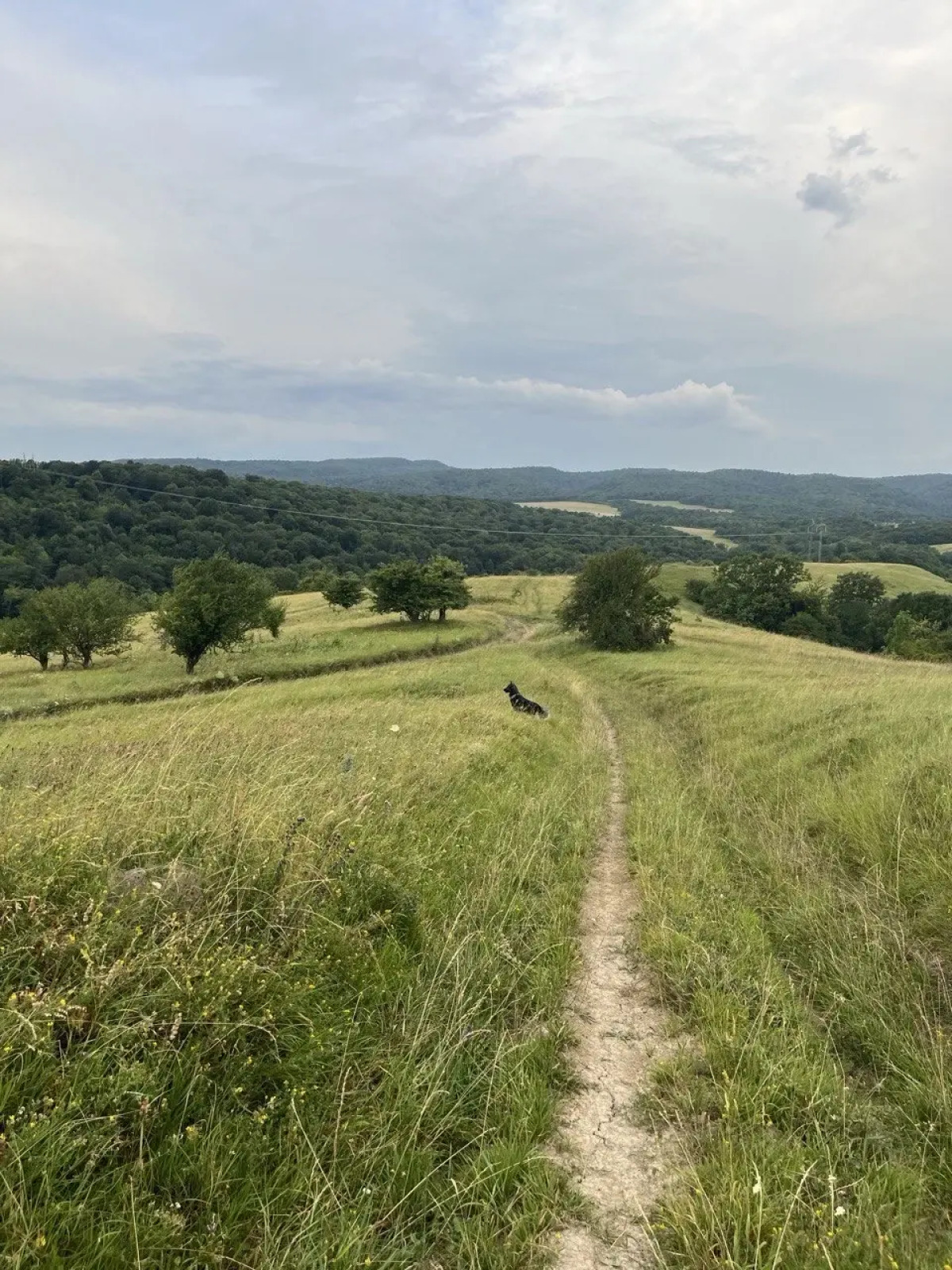 Частный дом Дизайнерский Барнхаус