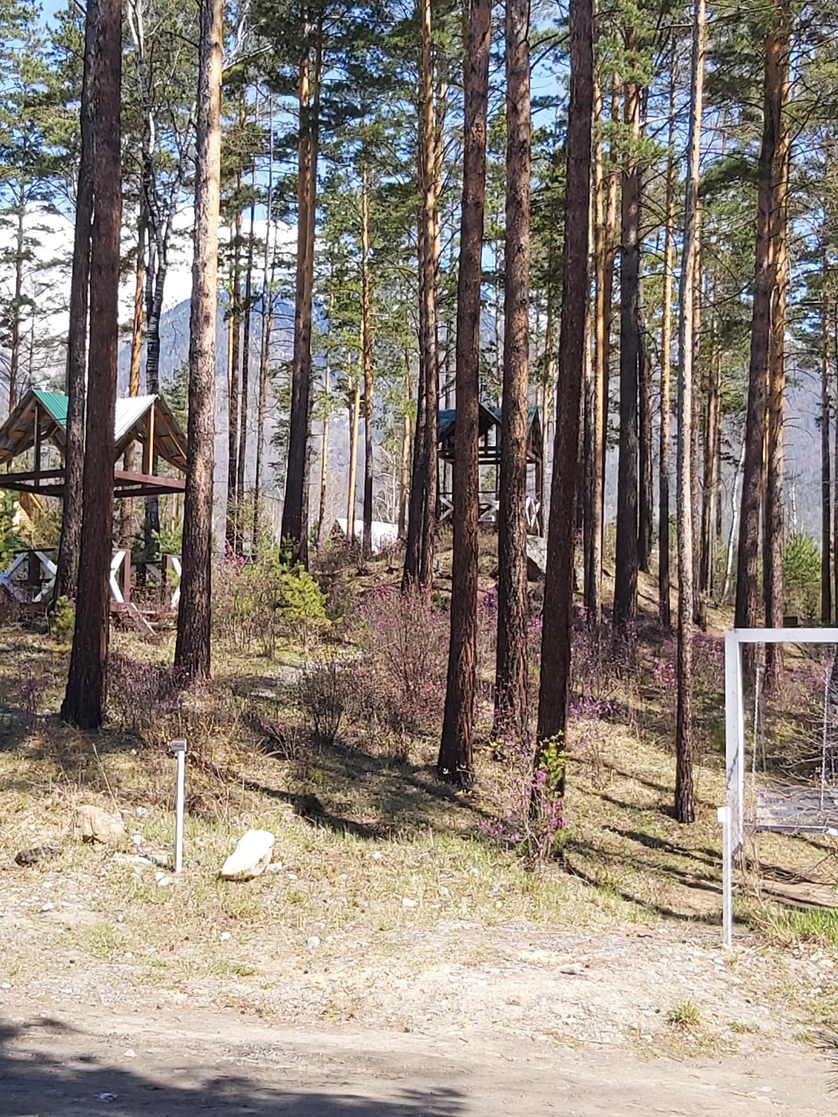 Отель Корона