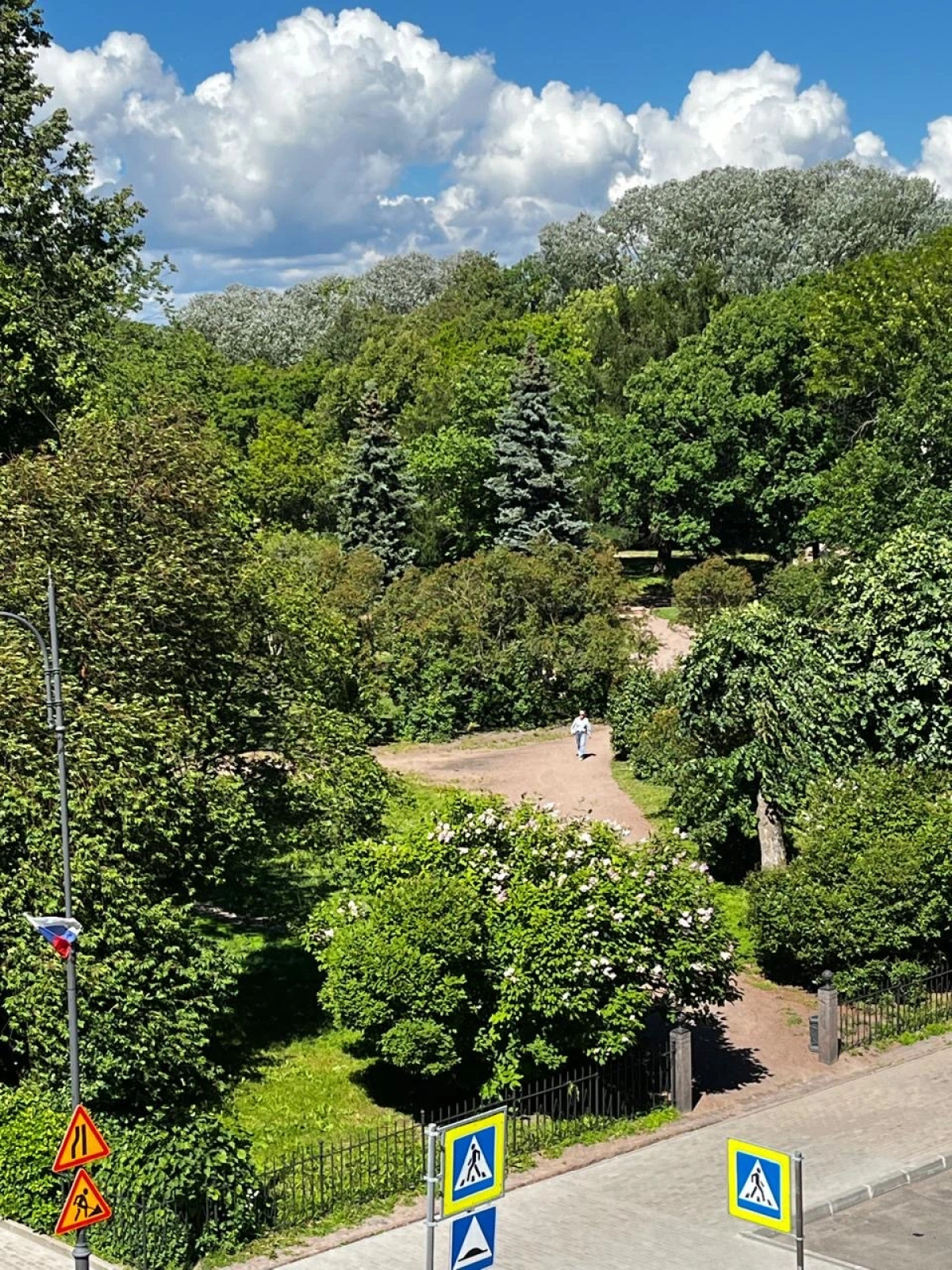 Квартира с видом на парк