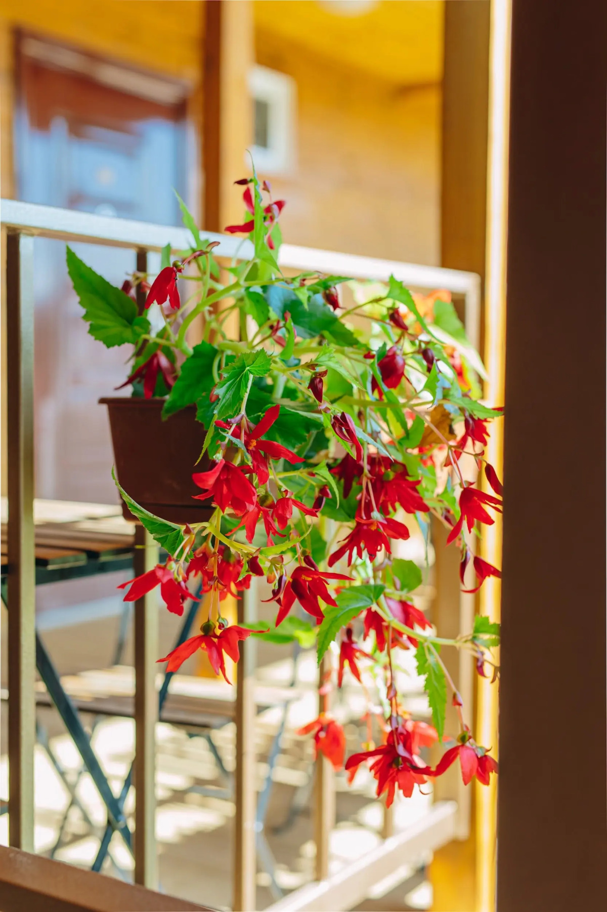 Гостевой Дом Ивановский