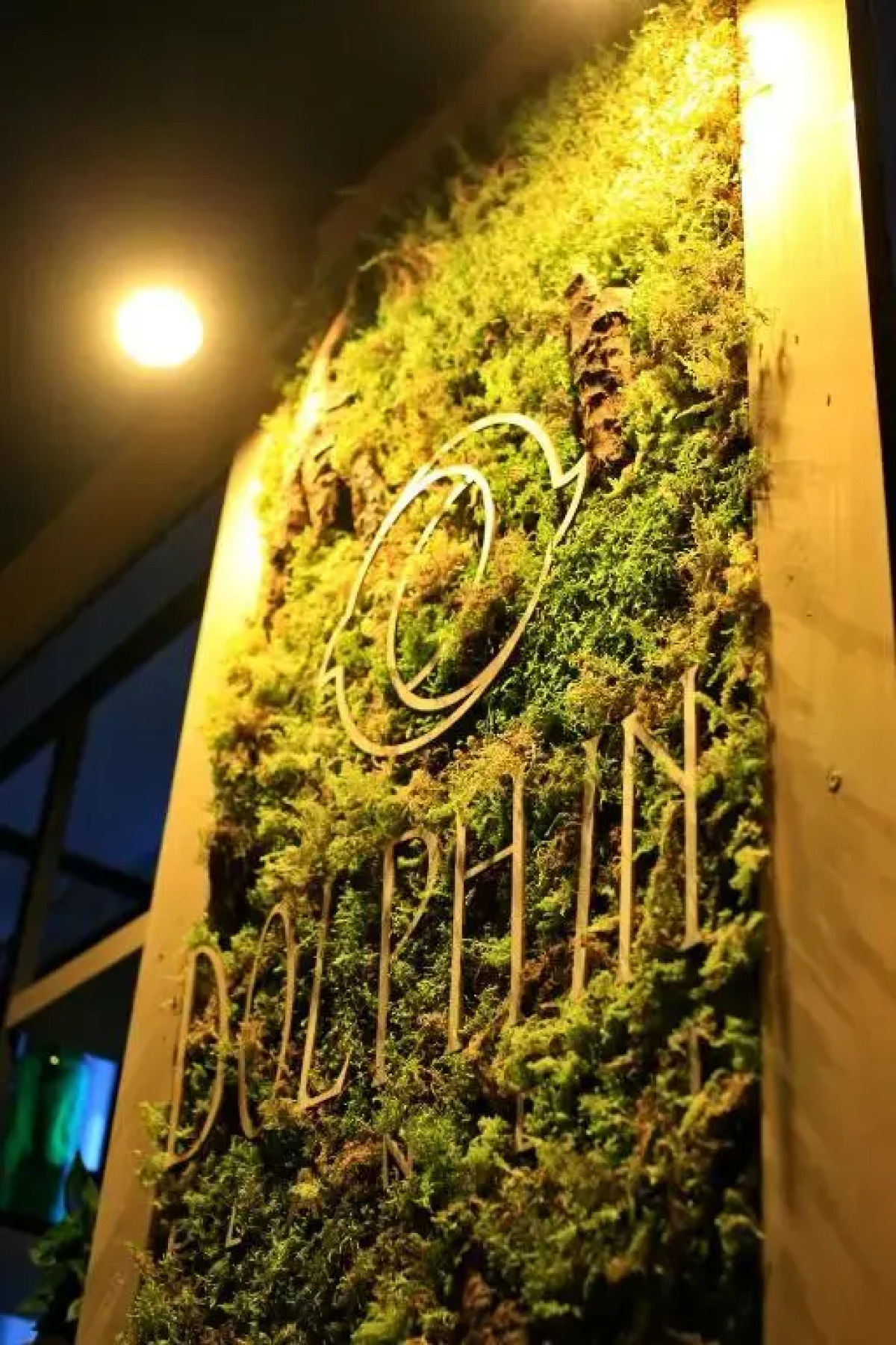 Гостиничный комплекс Dolphin Planet Hotel & SPA