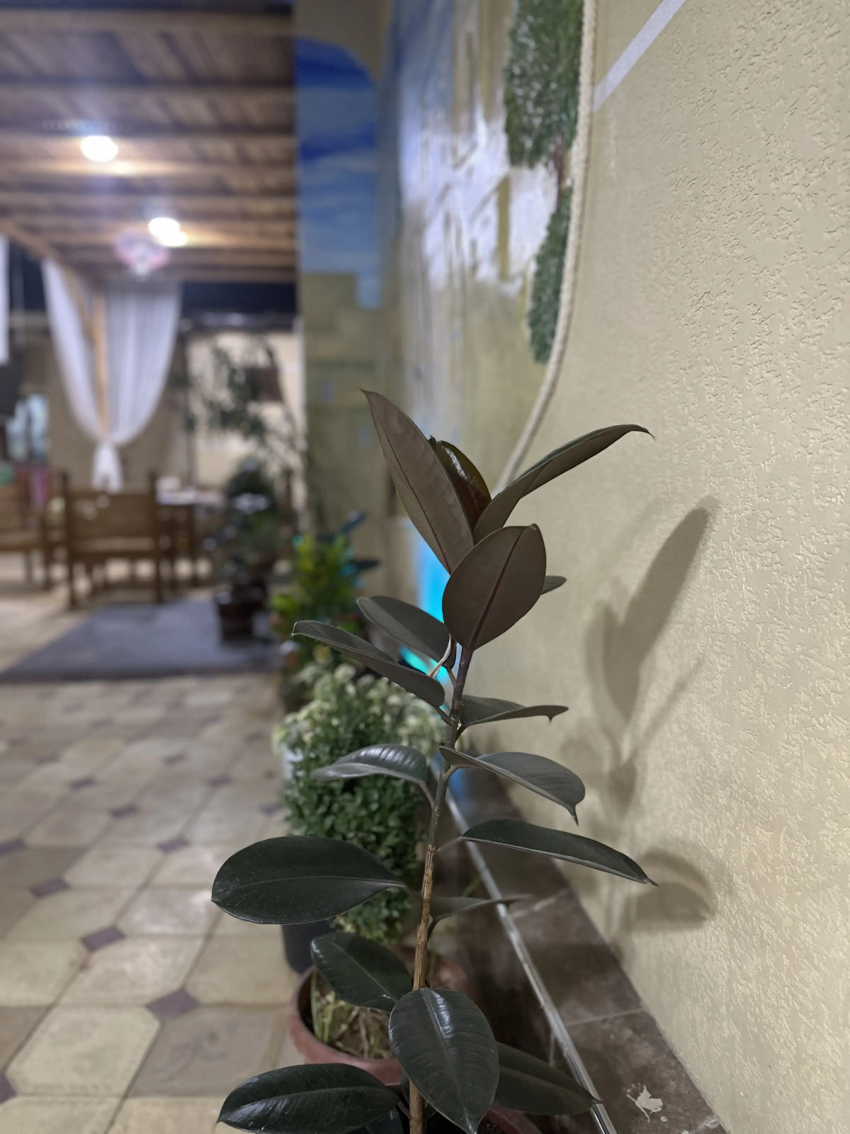 Гостевой Дом Dolon House