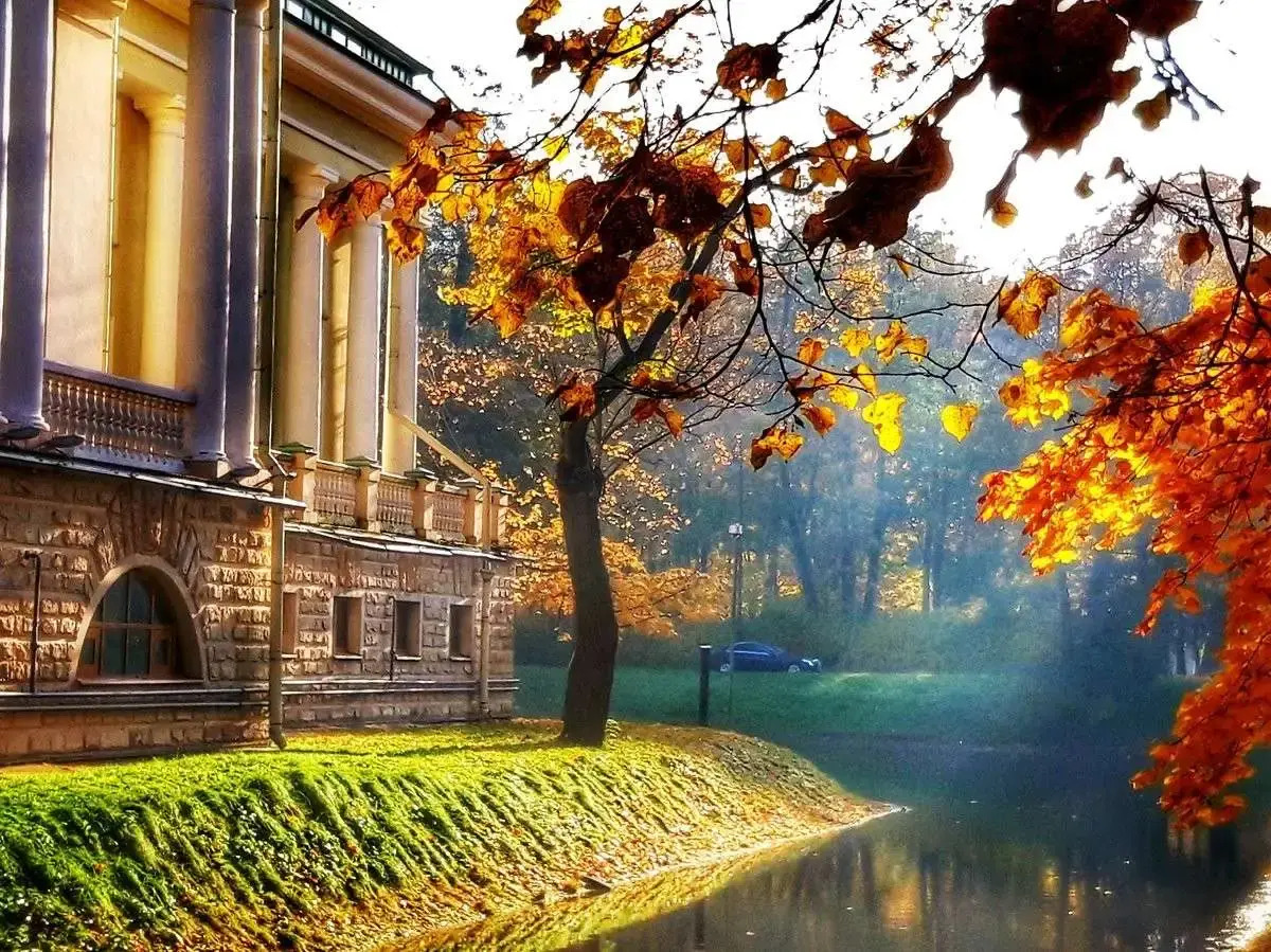 Квартира Juli Apart 2 на Кондратьевском