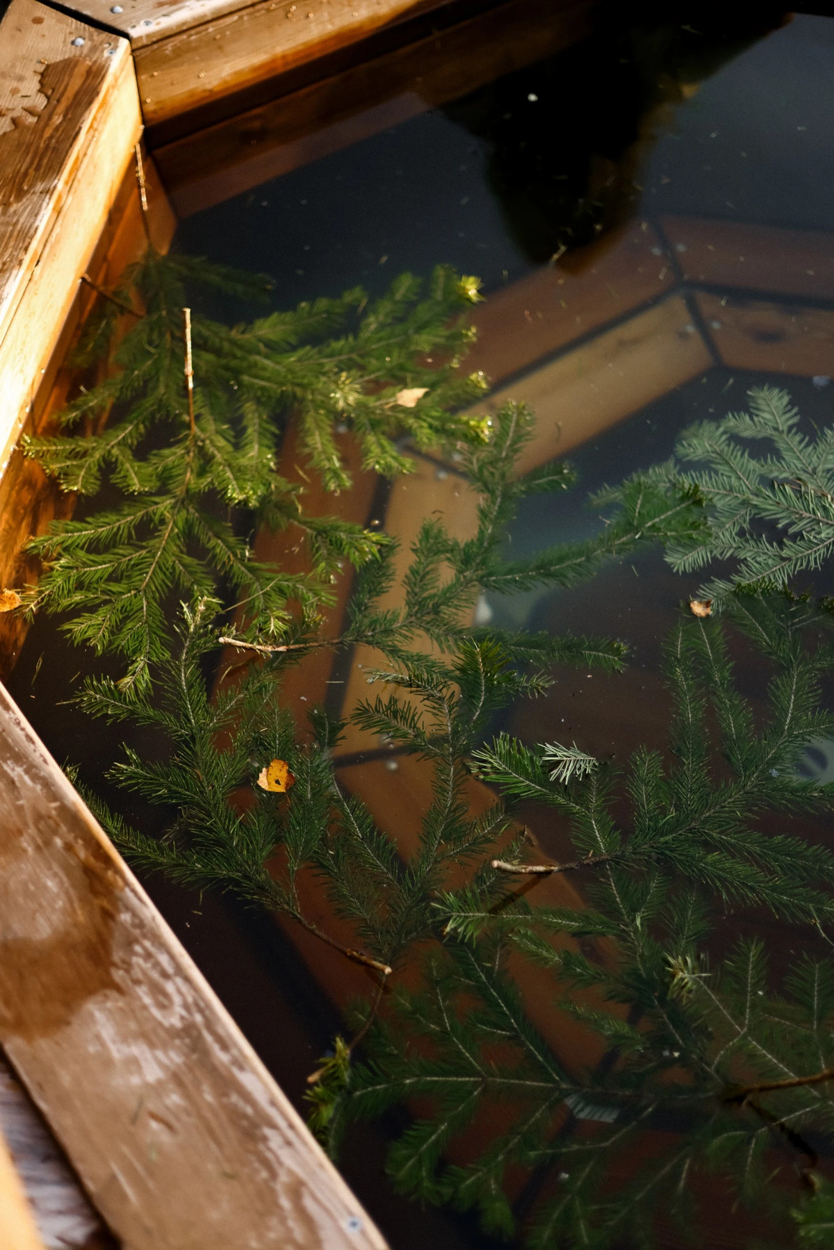 База отдыха Эко-отель Агроусадьба Павлова