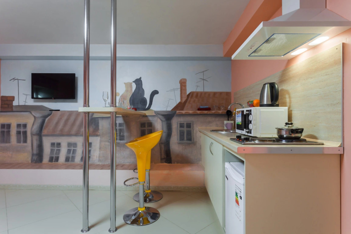 Апартаменты на Гаванской (3)