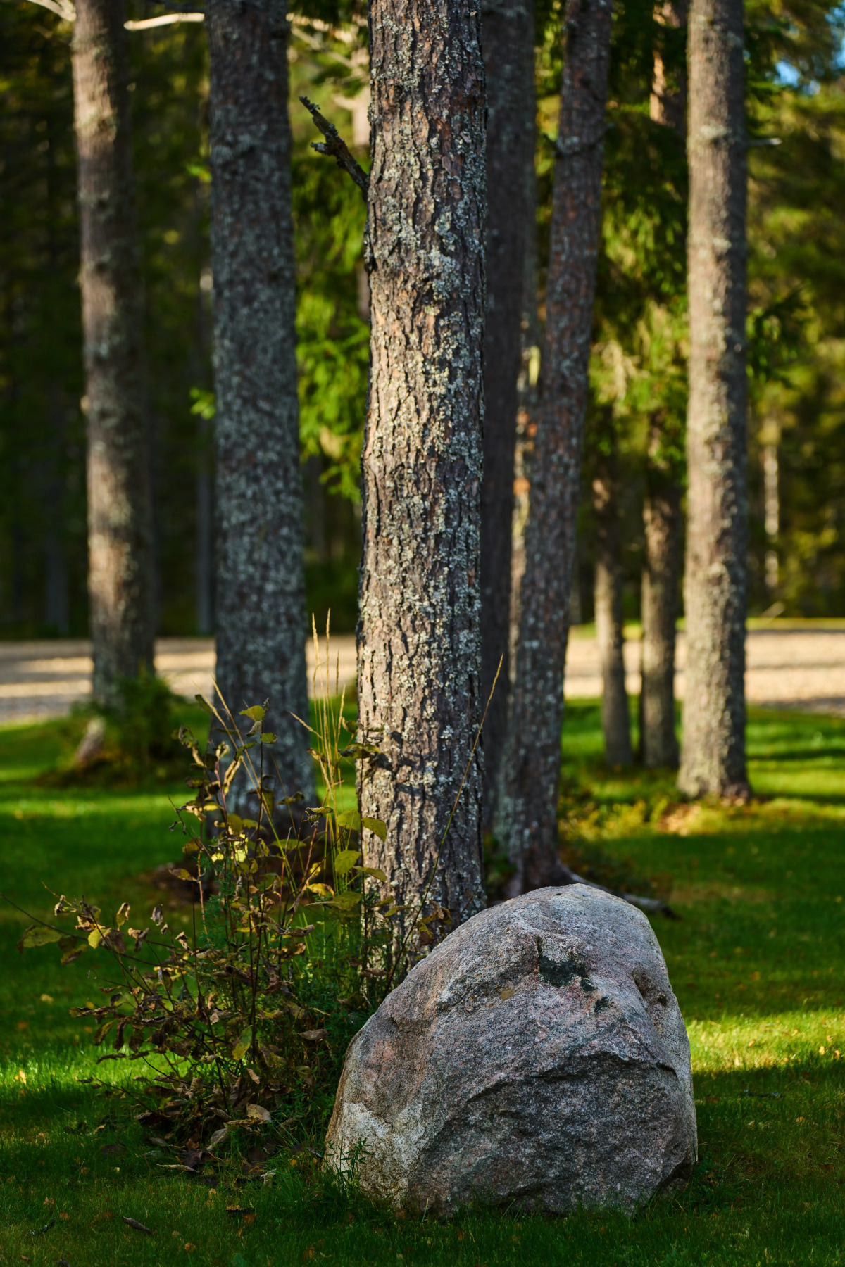 База отдыха Glanta