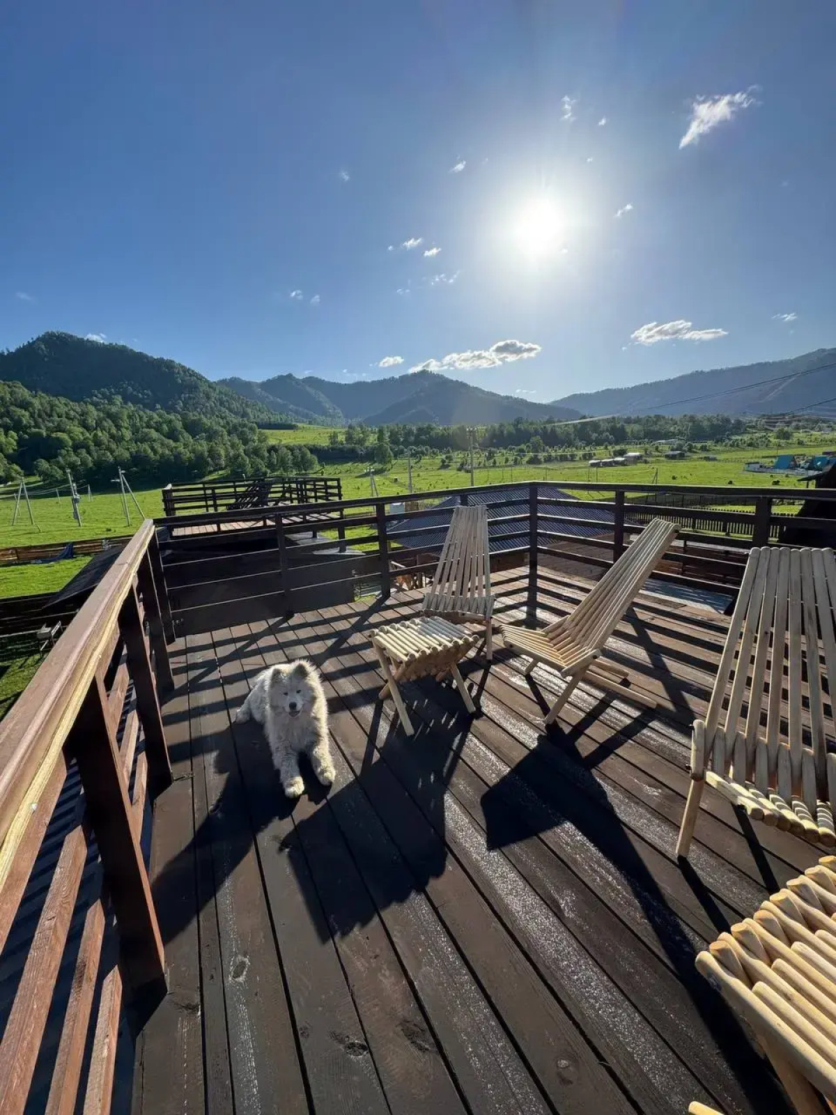 Жилое помещение Алтын