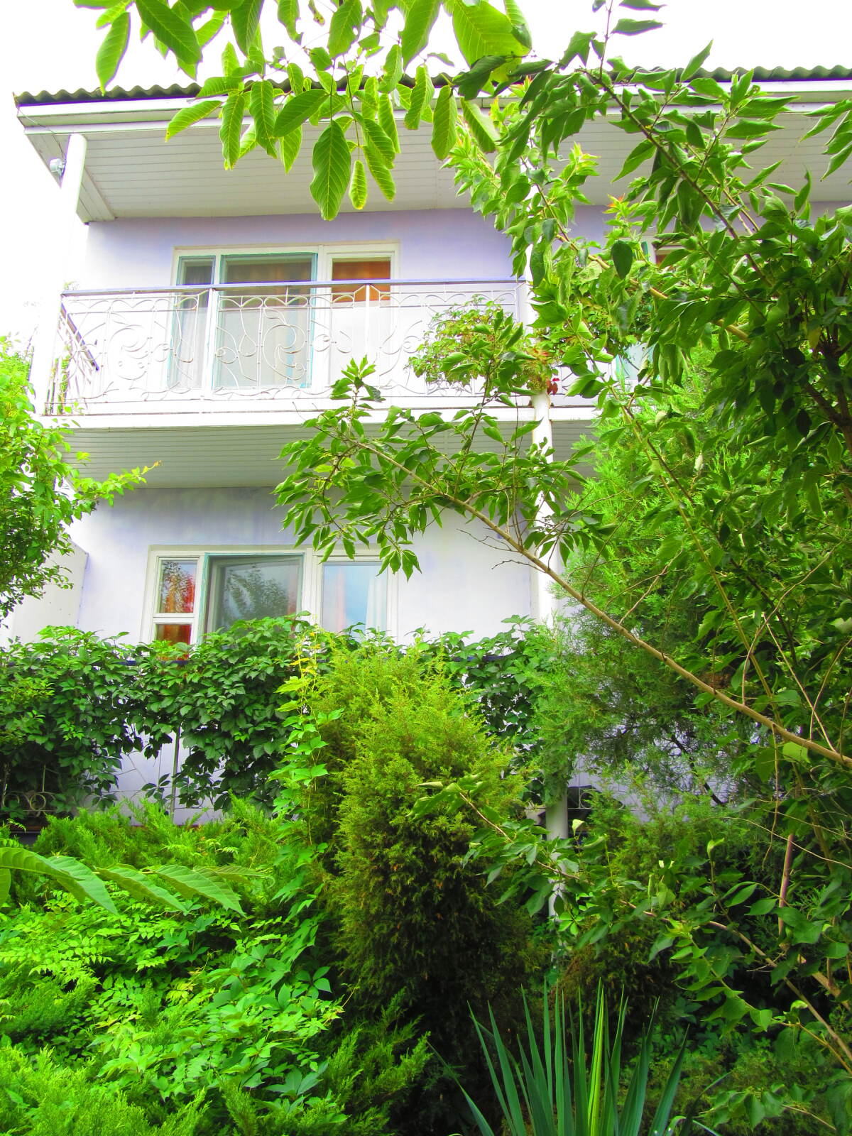 Пансионат Крымские Дачи